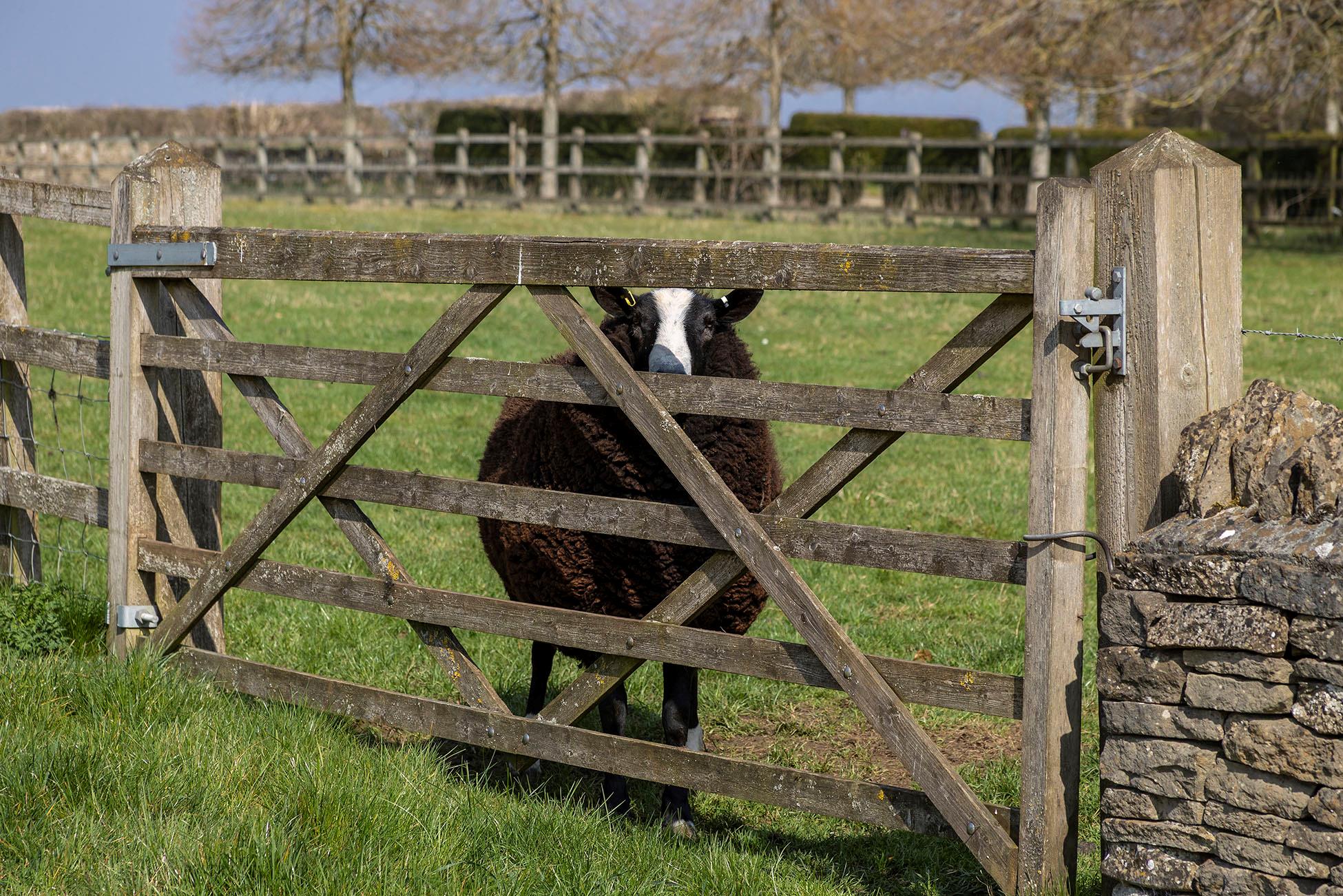 Nr Cold Aston, Bourton-On-The-Water, Cheltenham, Gloucestershire, GL54
