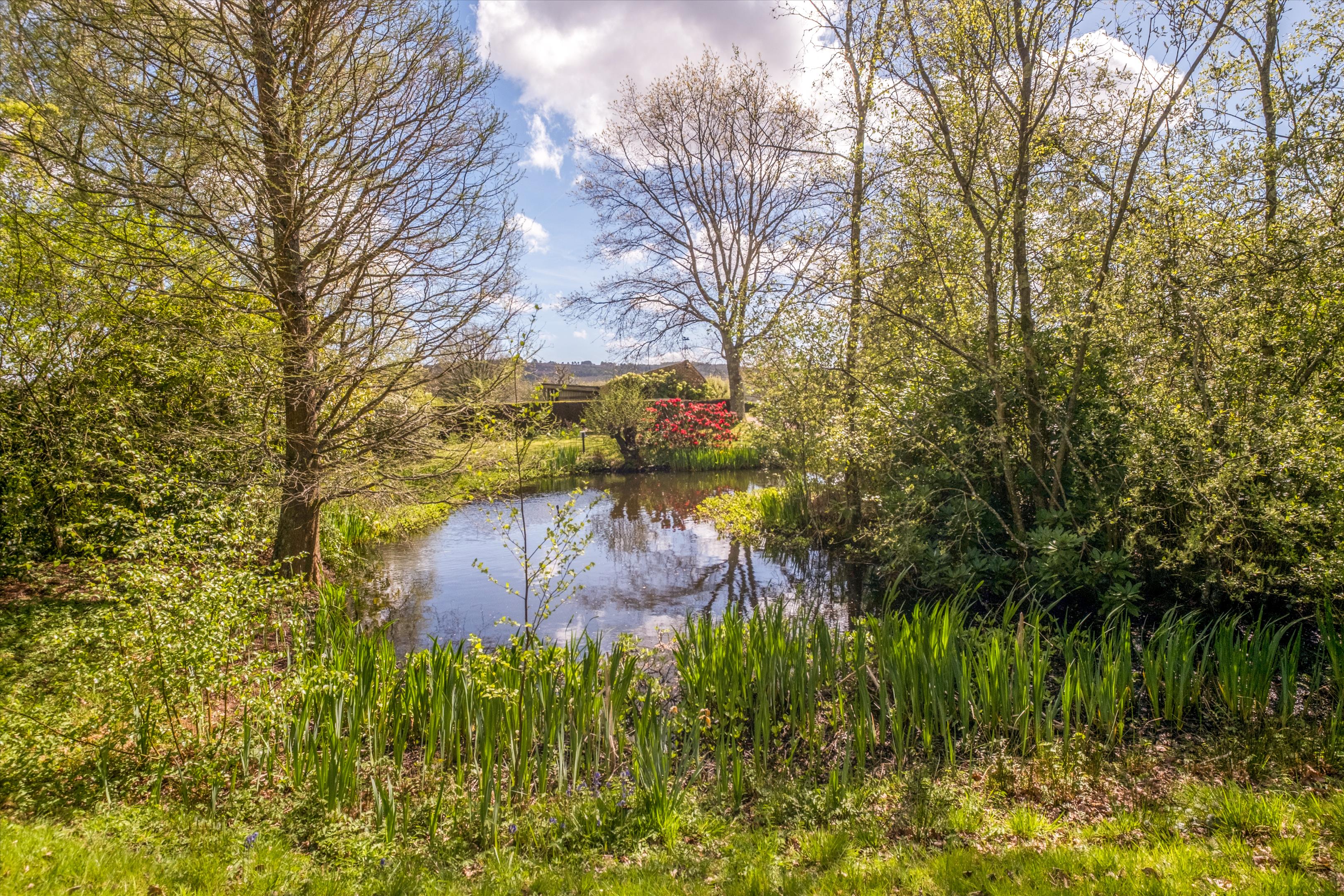 Cat Street, Upper Hartfield, Hartfield, East Sussex TN7
