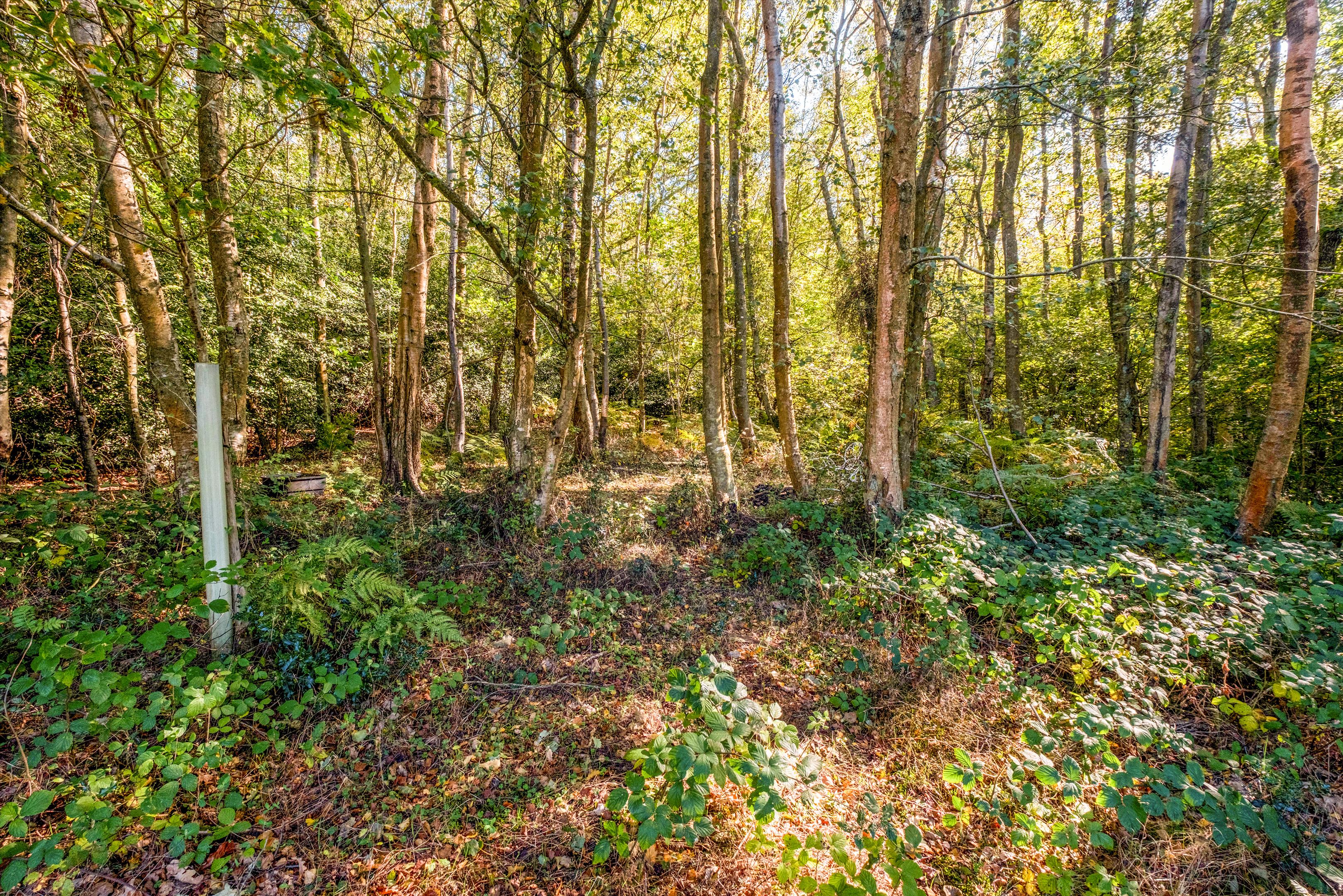 Pottens Mill Lane, Broad Oak, Heathfield, East Sussex TN21