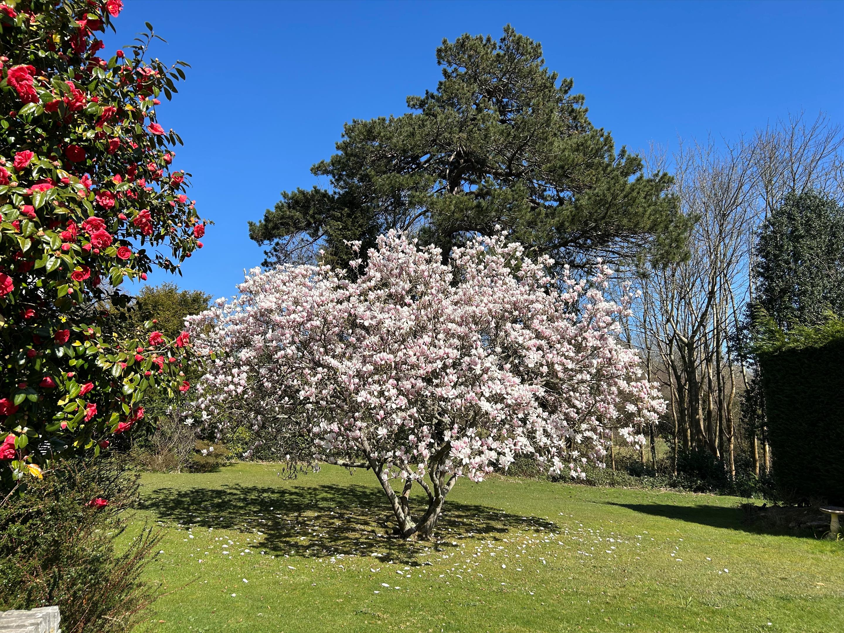 Limes Lane, Buxted, Uckfield, East Sussex, TN22