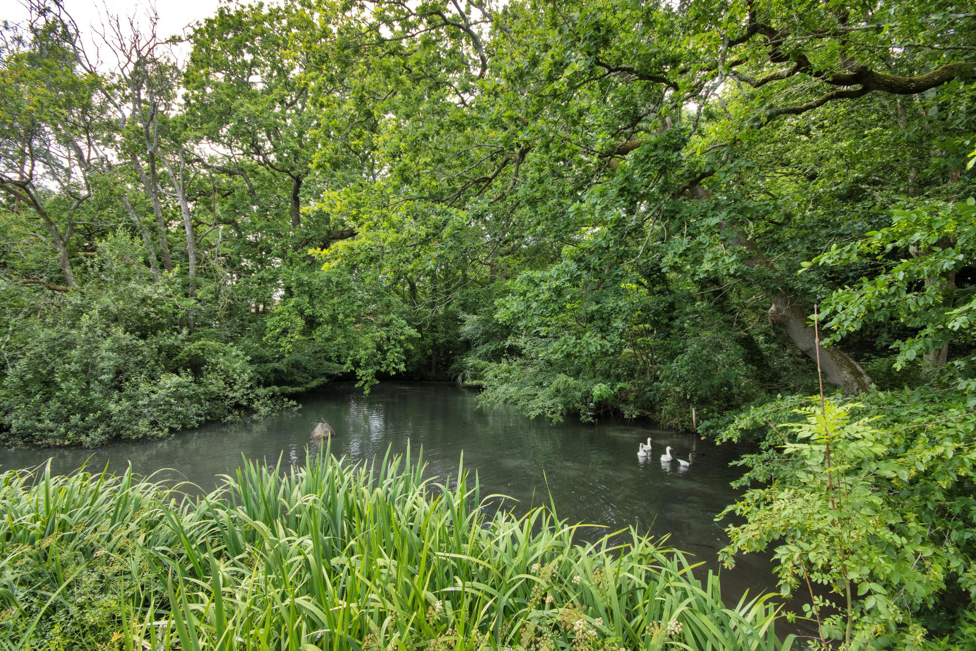 Doucegrove Lane, Northiam, Rye, East Sussex TN31