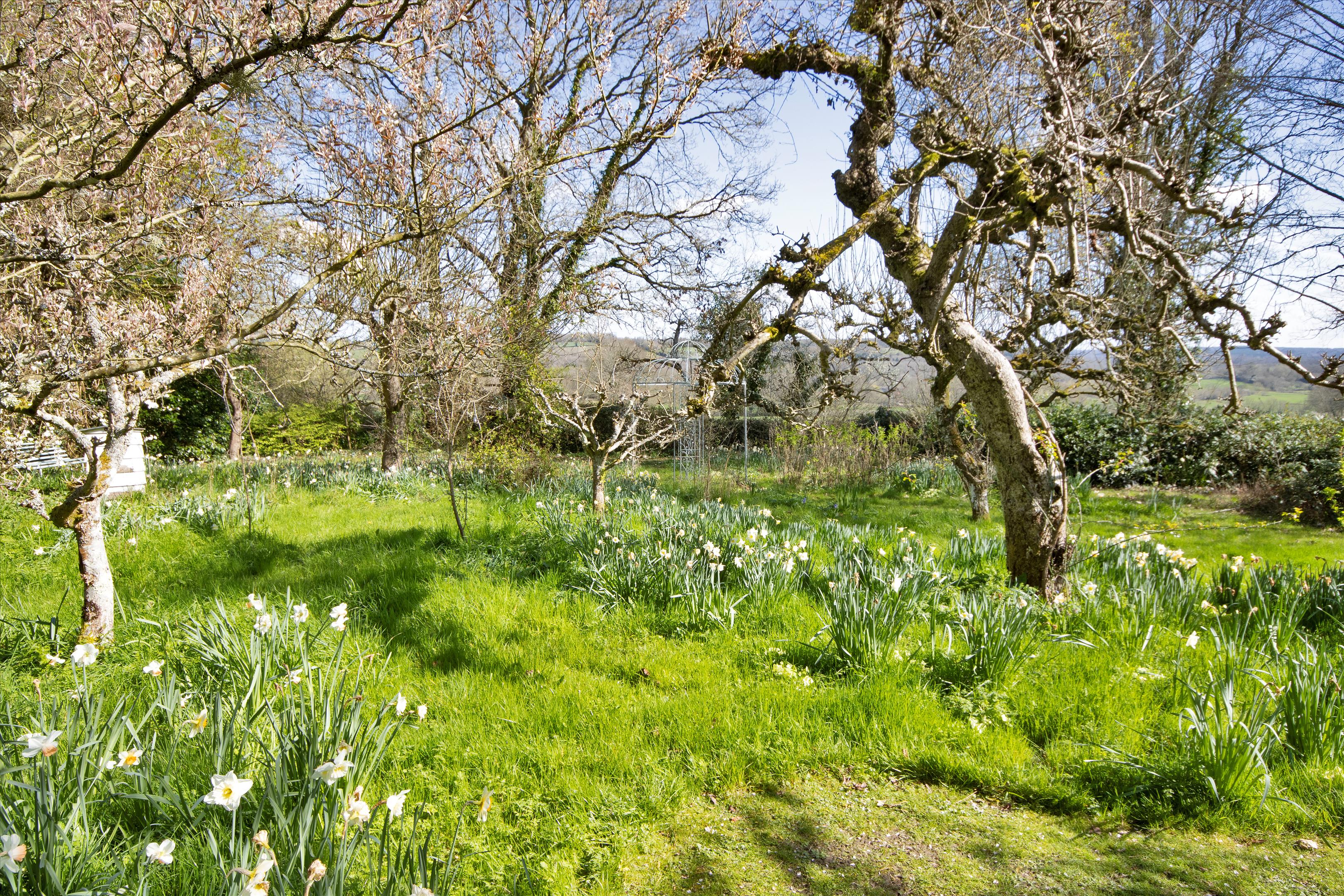 Beech Green Lane, Withyham, Hartfield, East Sussex TN7