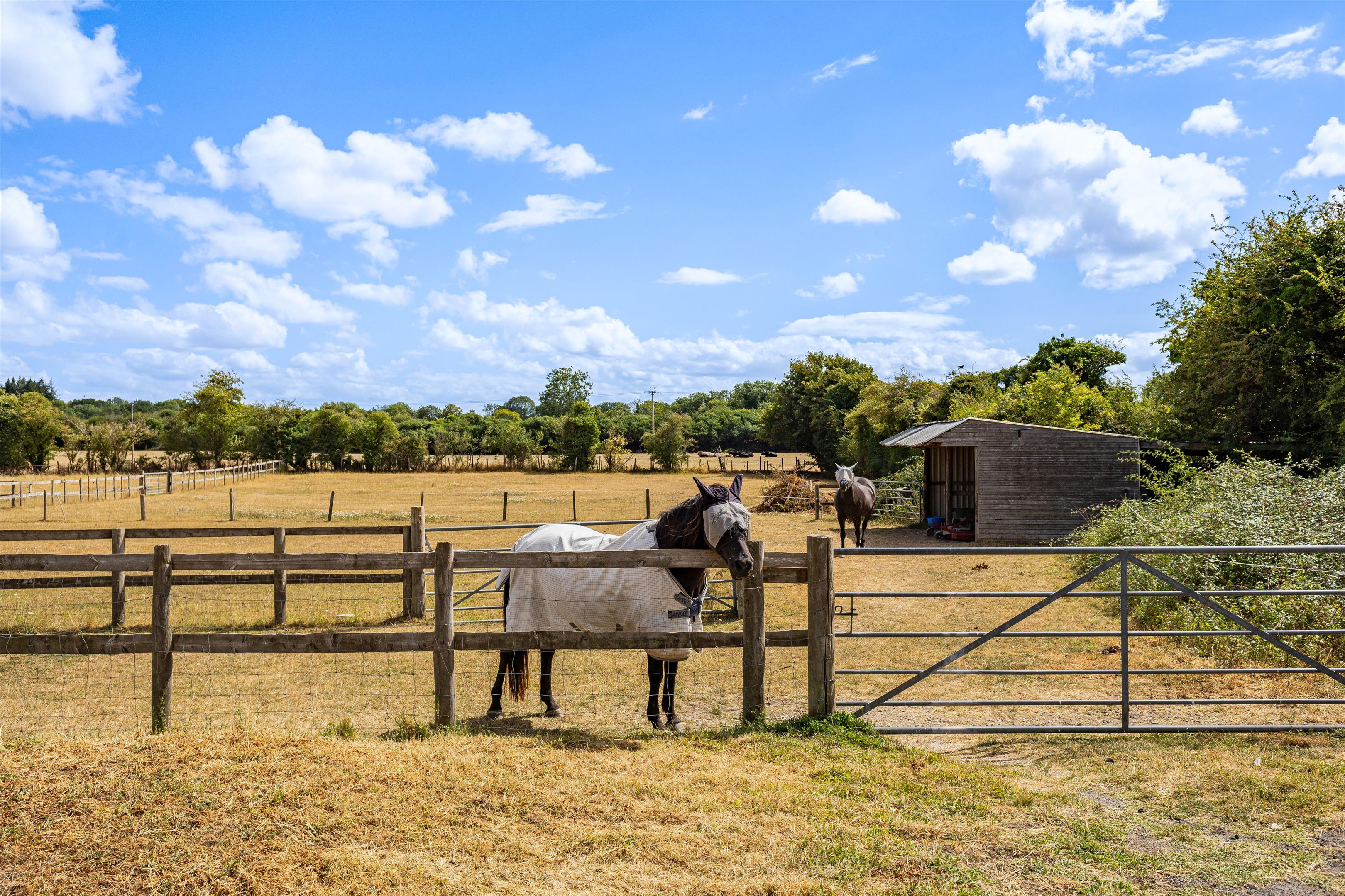 Monxton Road, Grateley, Andover, Hampshire SP11