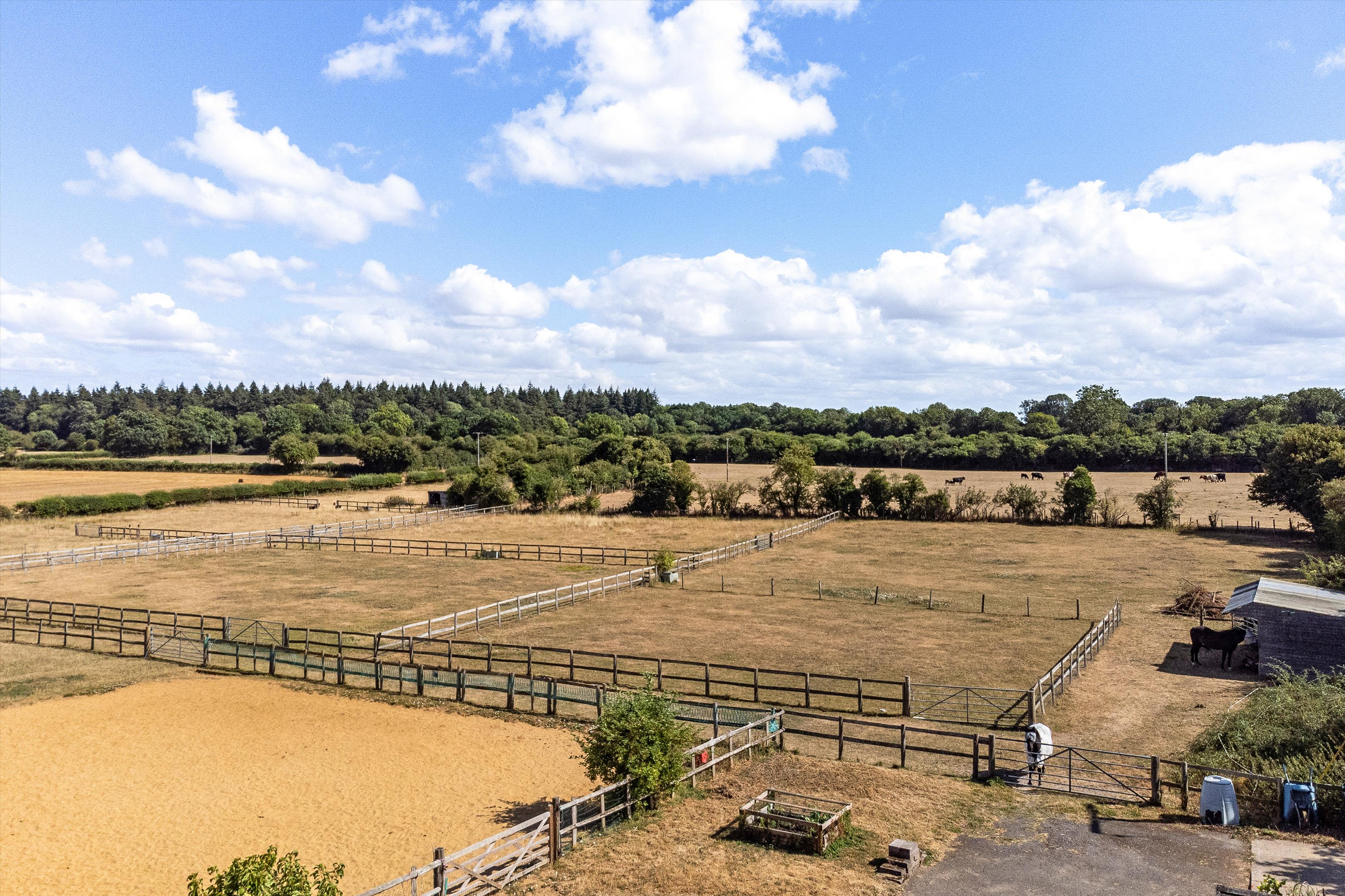 Monxton Road, Grateley, Andover, Hampshire SP11