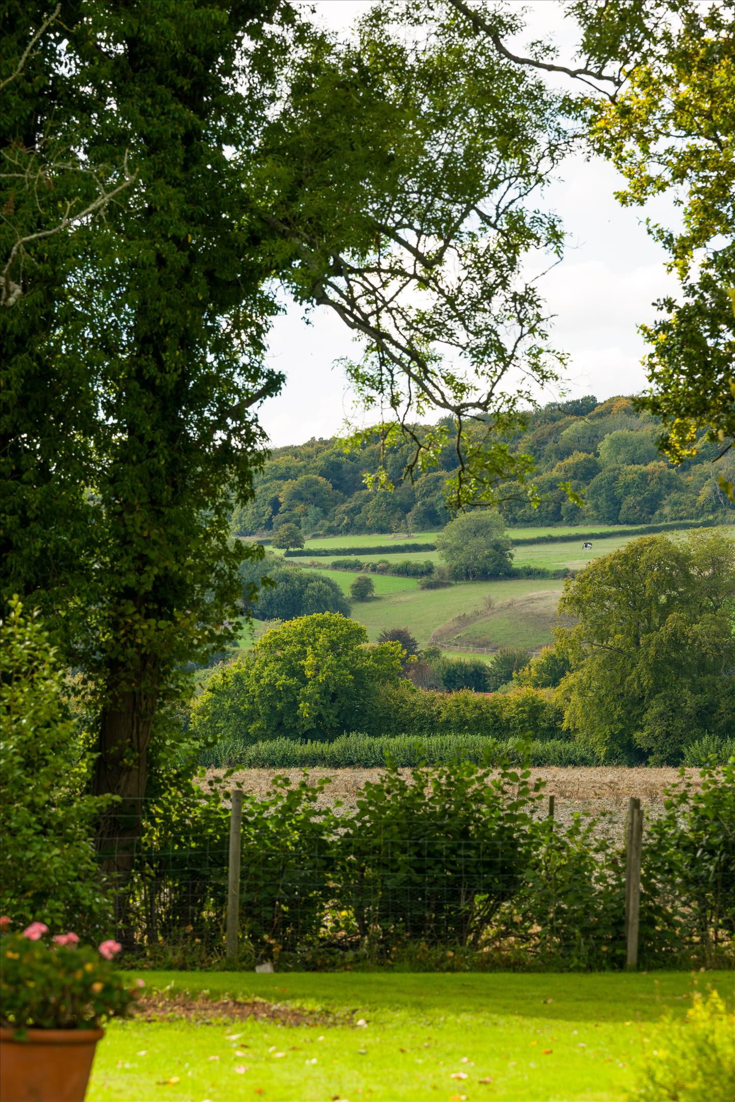 Sotherington Lane, Selborne, Alton, Hampshire, GU34