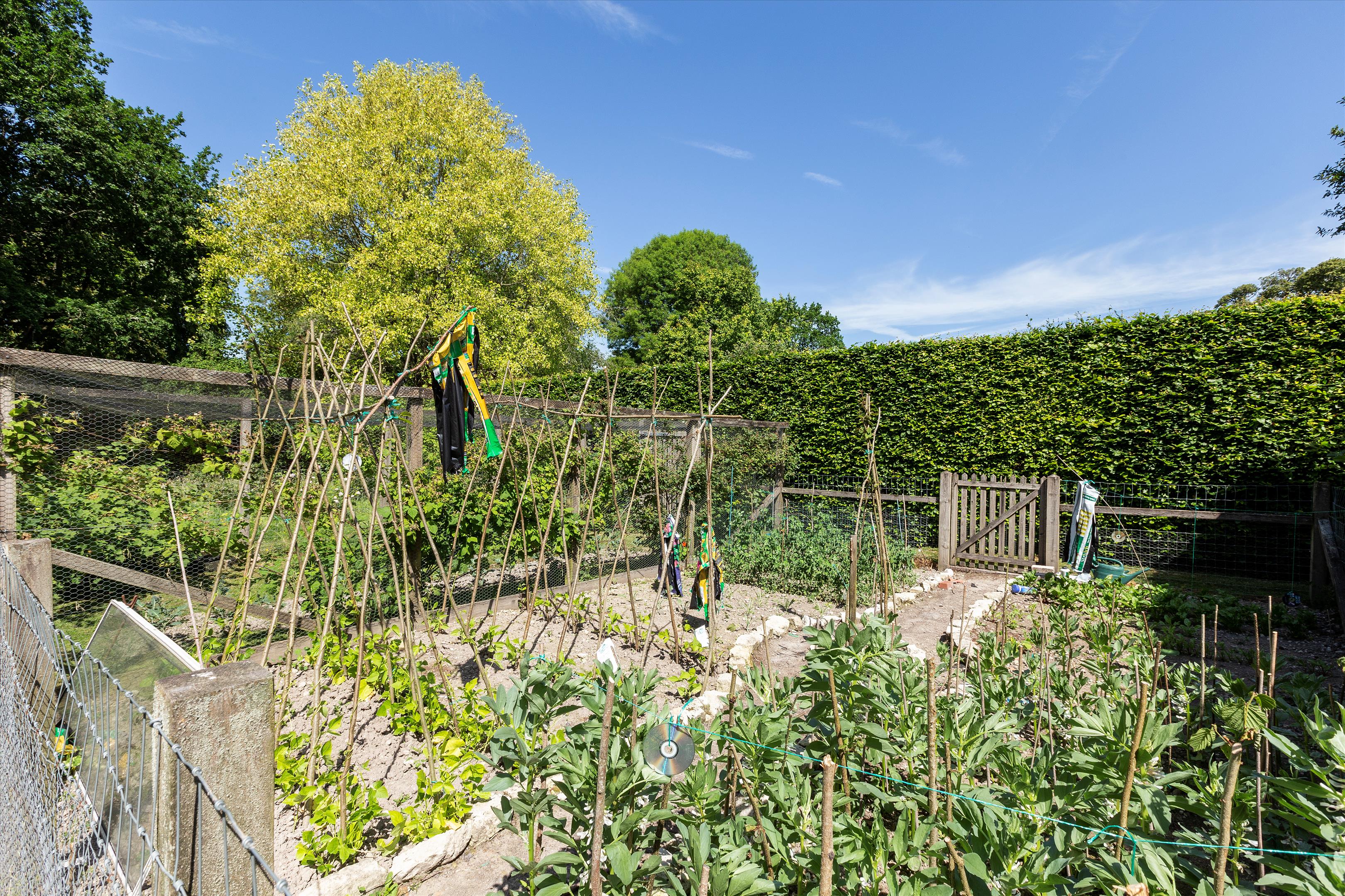 Sotherington Lane, Selborne, Alton, Hampshire, GU34
