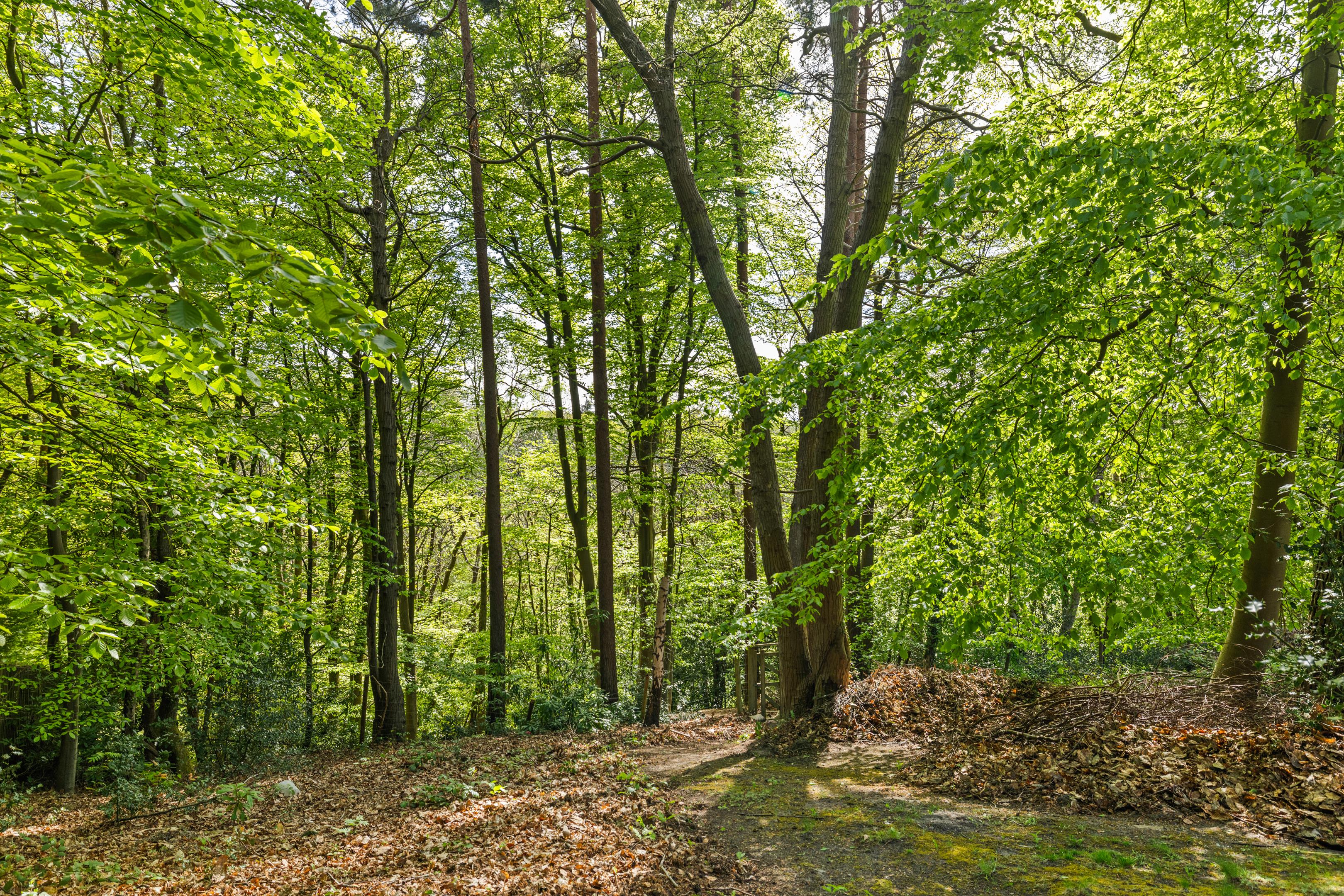 Headley Hill Road, Arford, Headley, Hampshire GU35