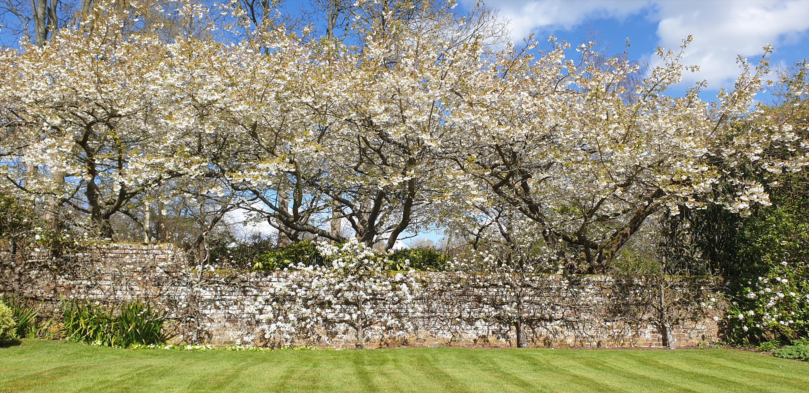 Abbotts Barton, Winchester, Hampshire SO23