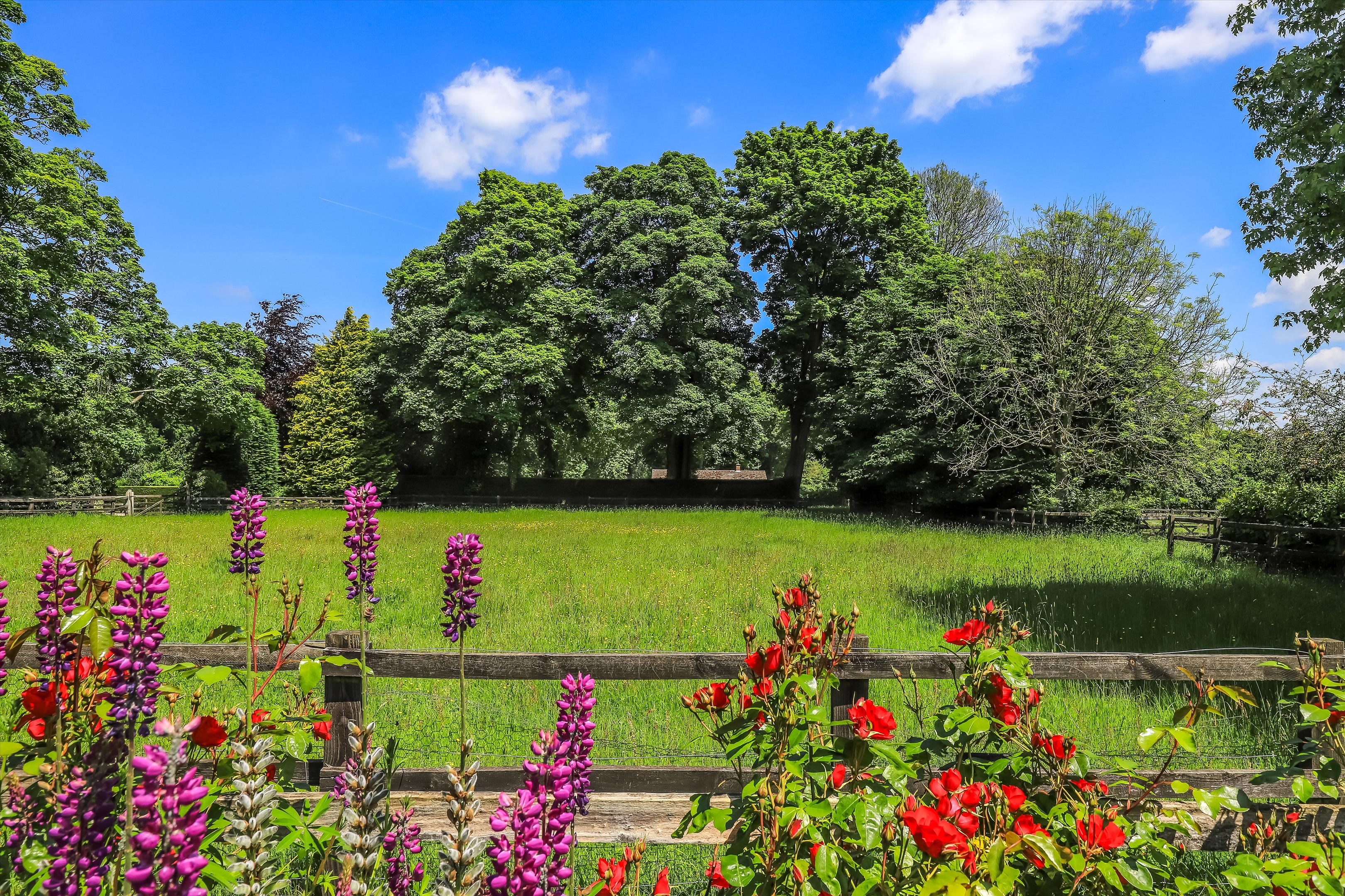 Amport, Andover, Hampshire, SP11