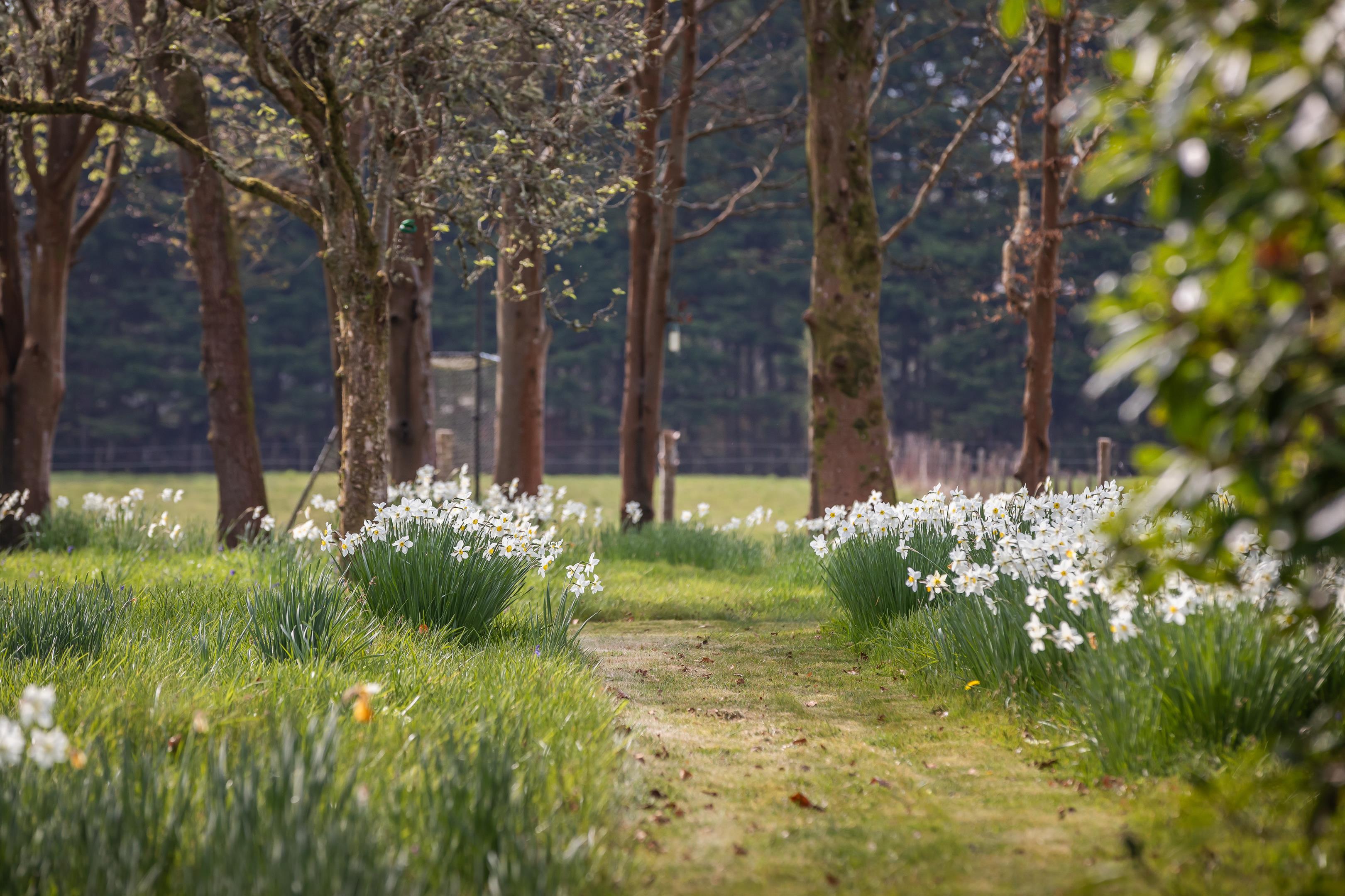 Lymington Road, Brockenhurst, Hampshire, SO42