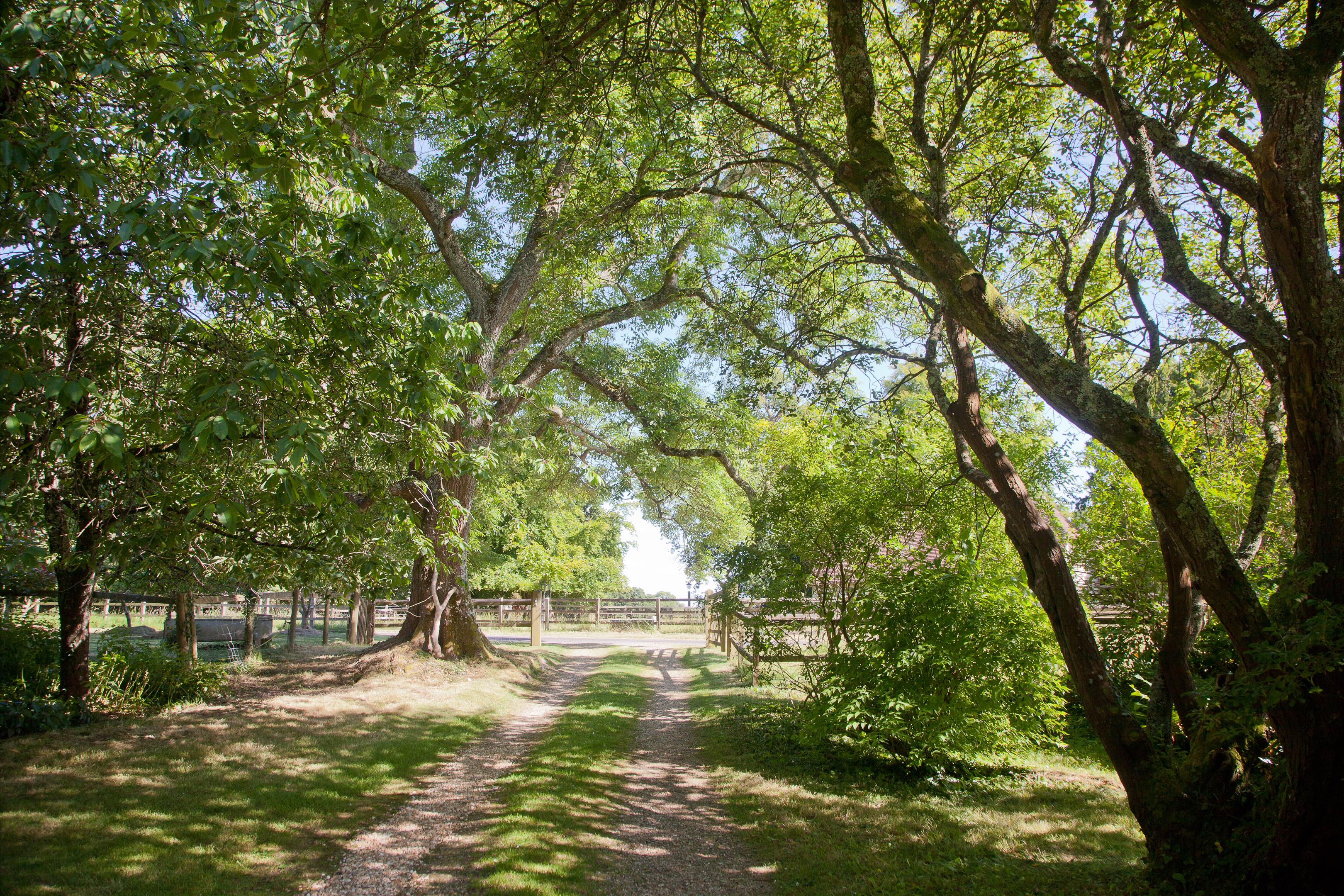 Shootash, Romsey, Hampshire, SO51
