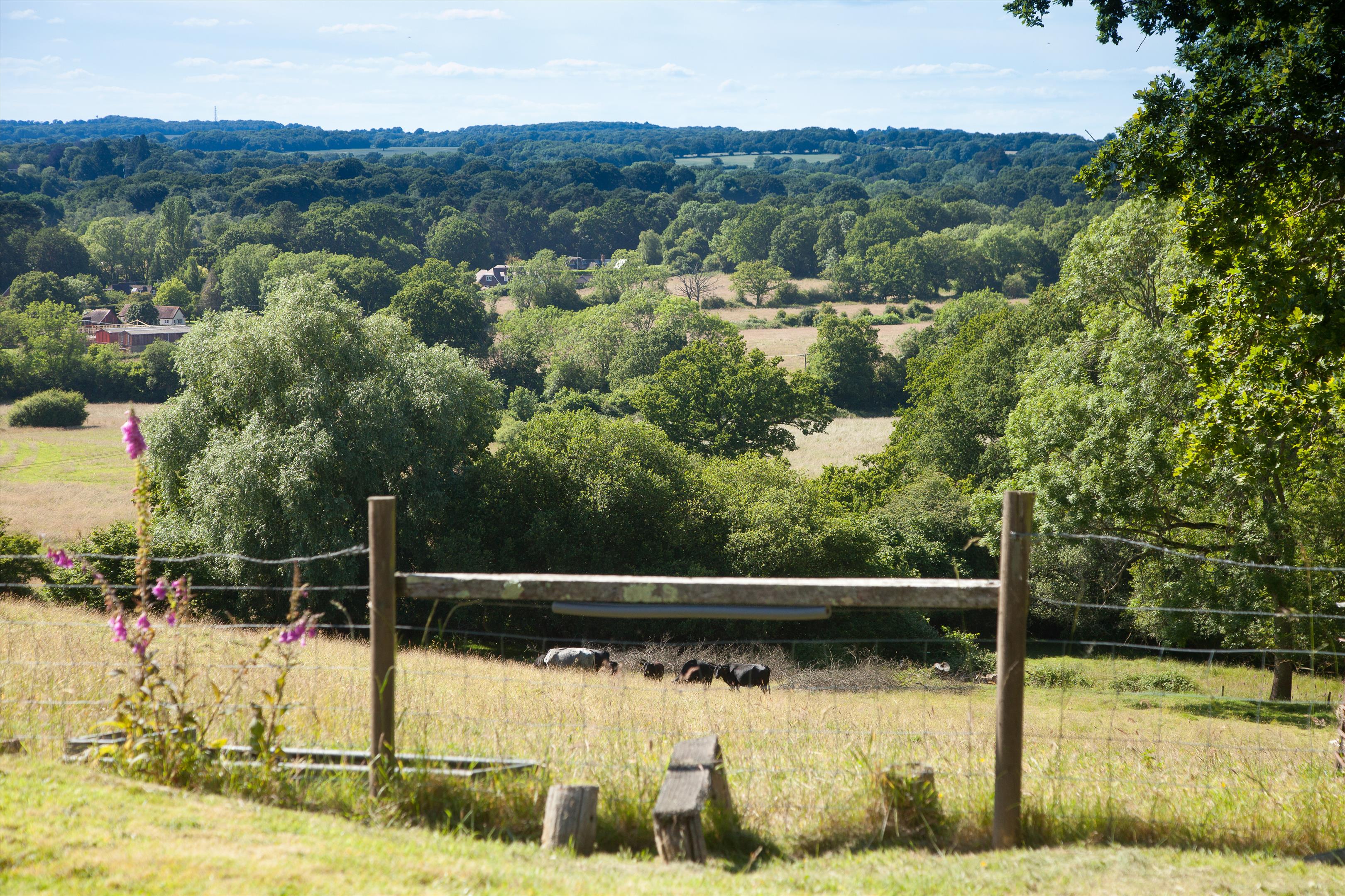 Shootash, Romsey, Hampshire, SO51