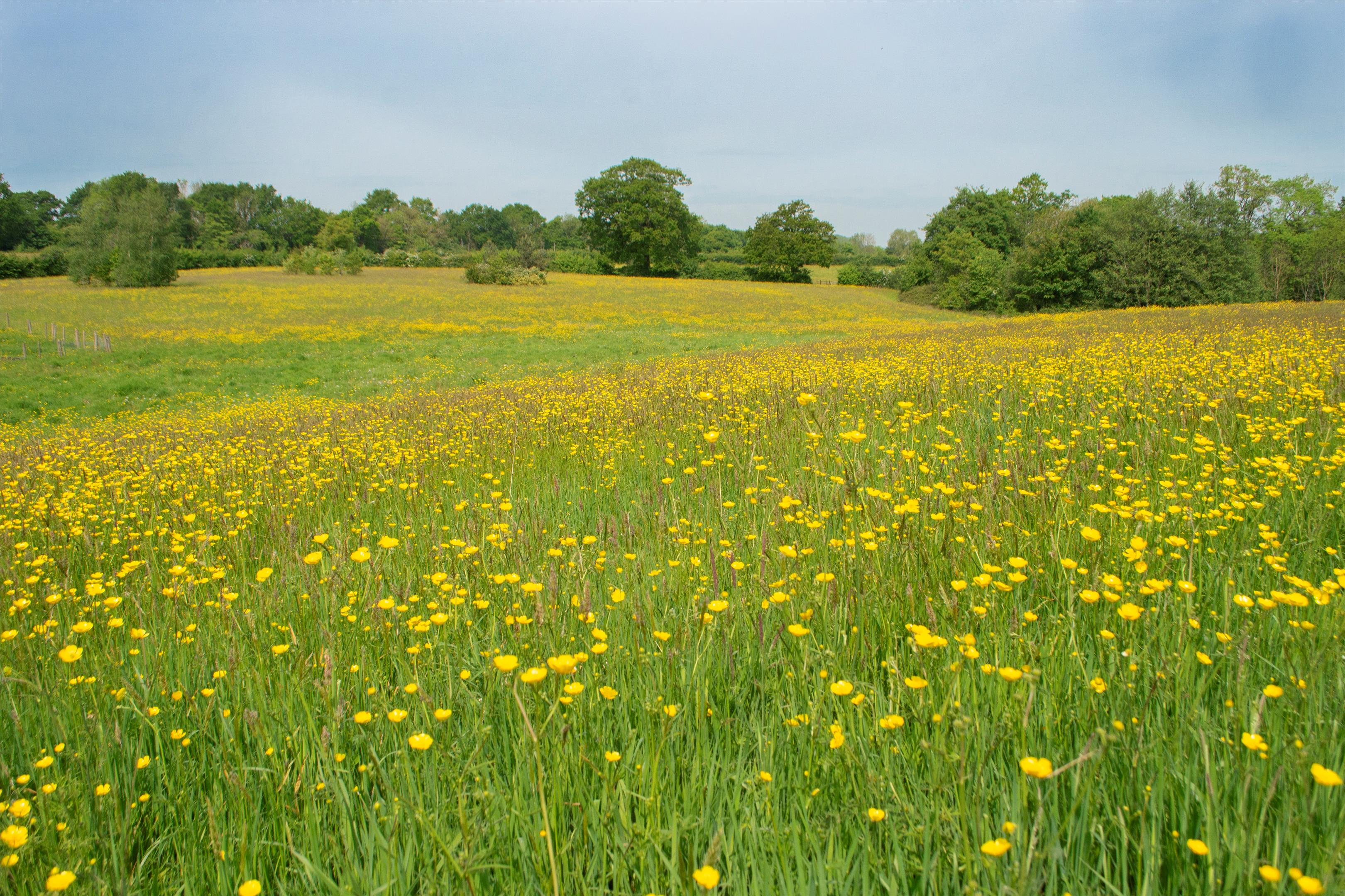 Sandlin, Leigh Sinton, Worcestershire, WR13