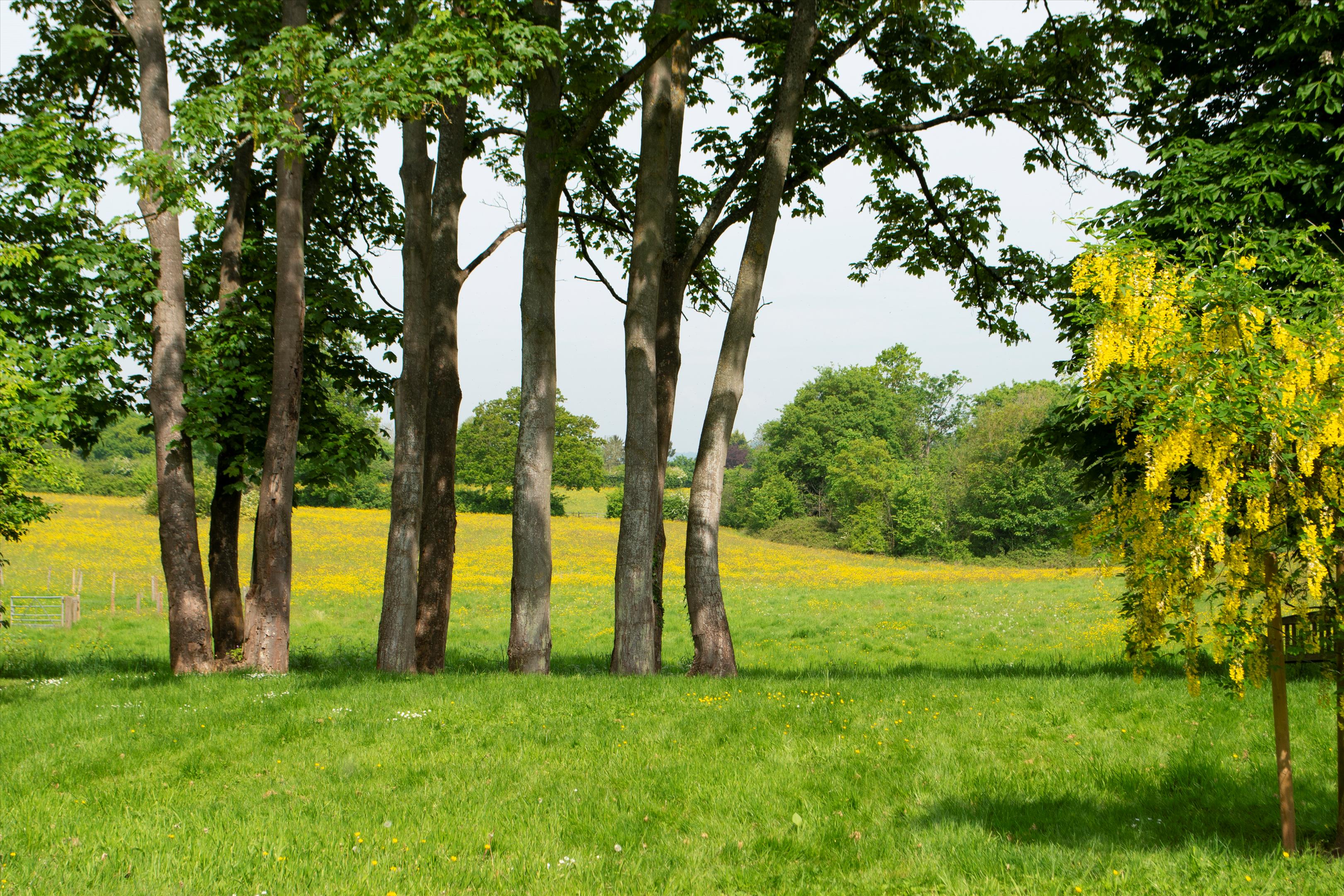Sandlin, Leigh Sinton, Worcestershire, WR13