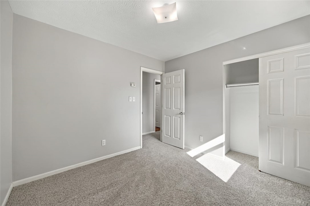 Empty bedroom with gray walls, carpet, an open closet, and sunlight across the floor.