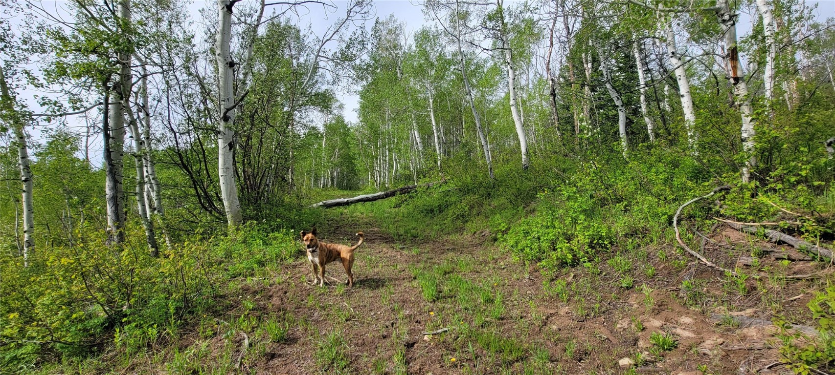 23035 Silverado ROAD