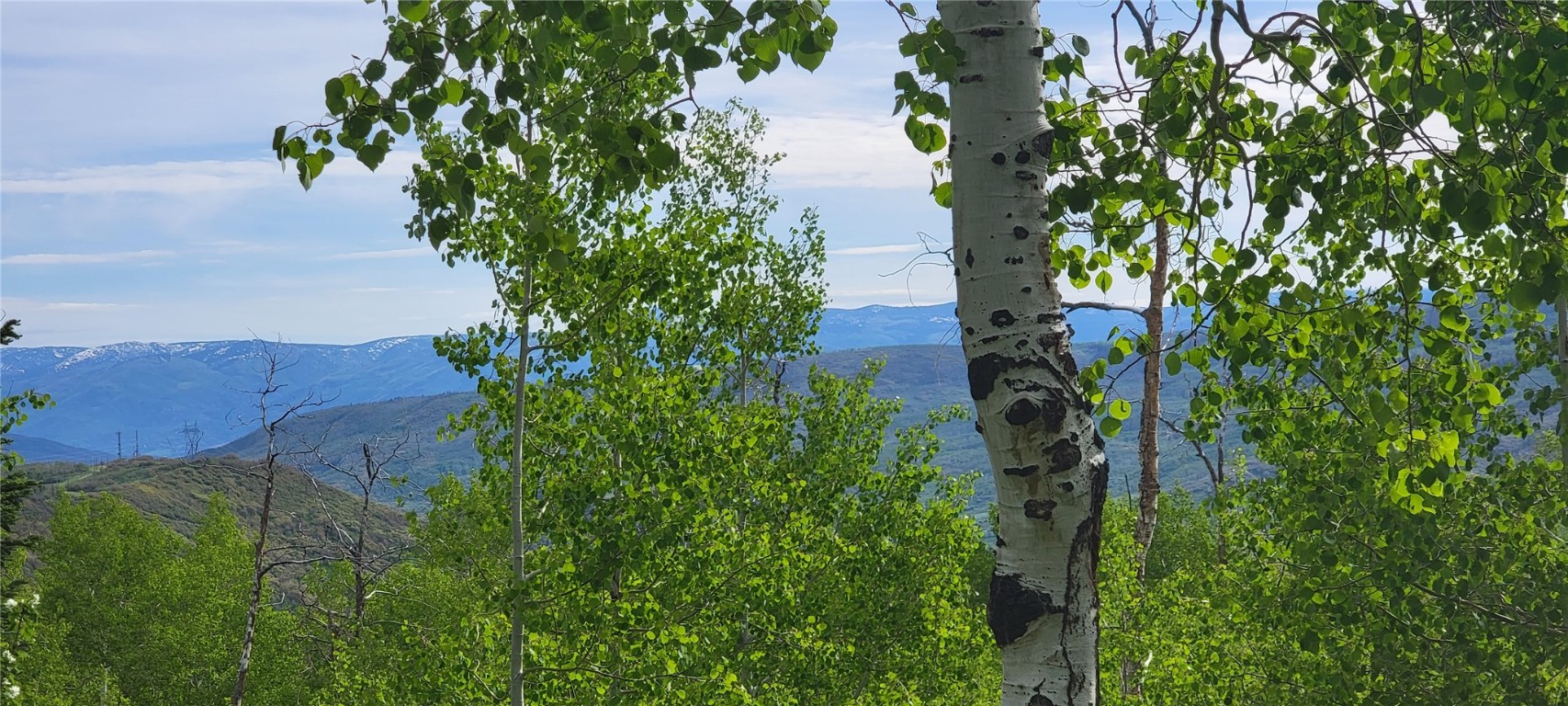 23035 Silverado ROAD