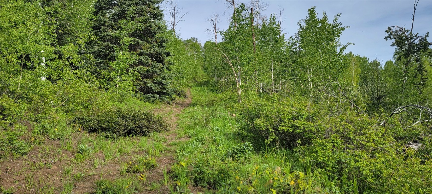 23035 Silverado ROAD