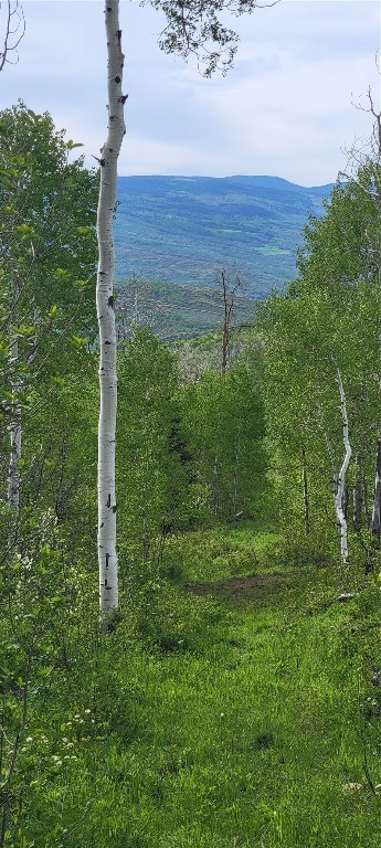 23035 Silverado ROAD