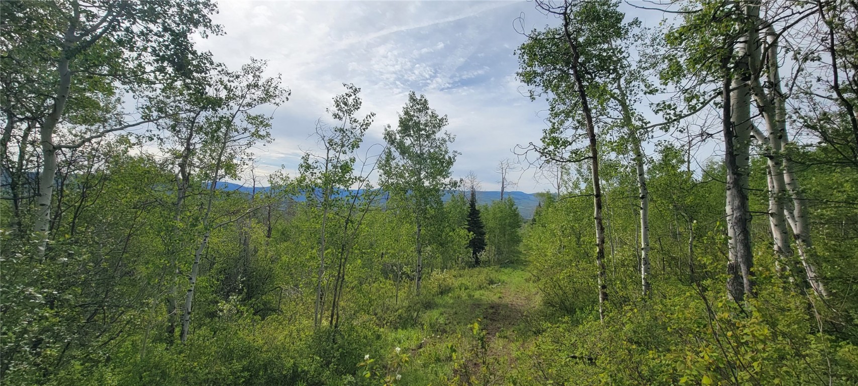 23035 Silverado ROAD