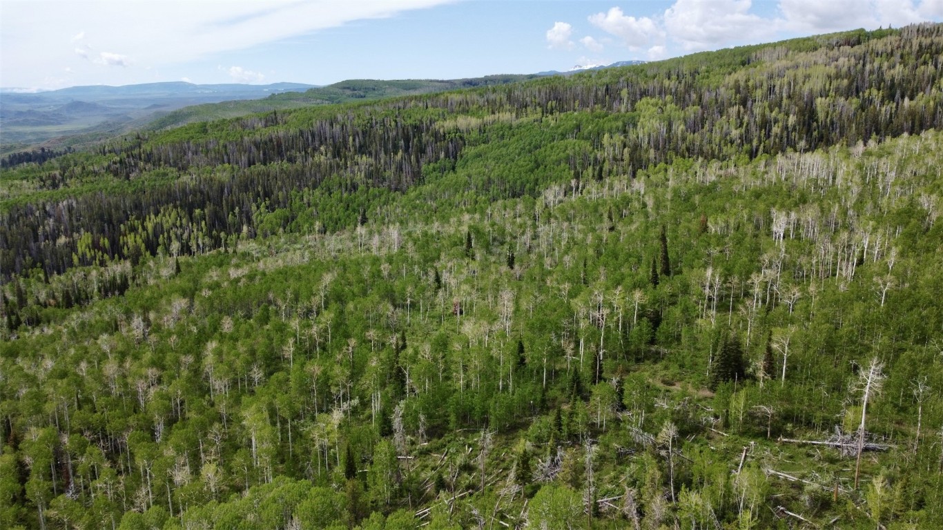 23035 Silverado ROAD