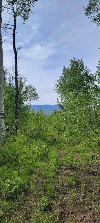 23035 Silverado ROAD