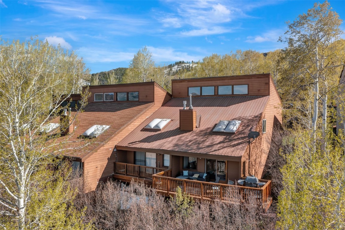 23055 Schussmark TRAIL