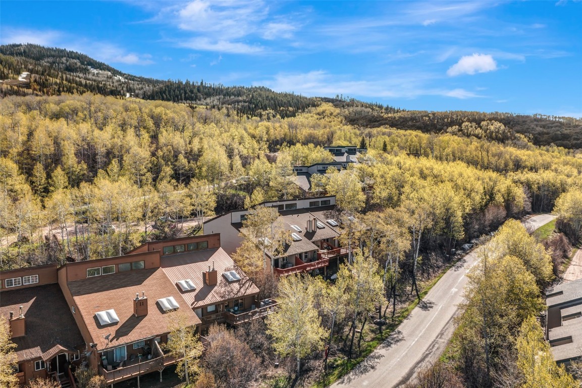 23055 Schussmark TRAIL