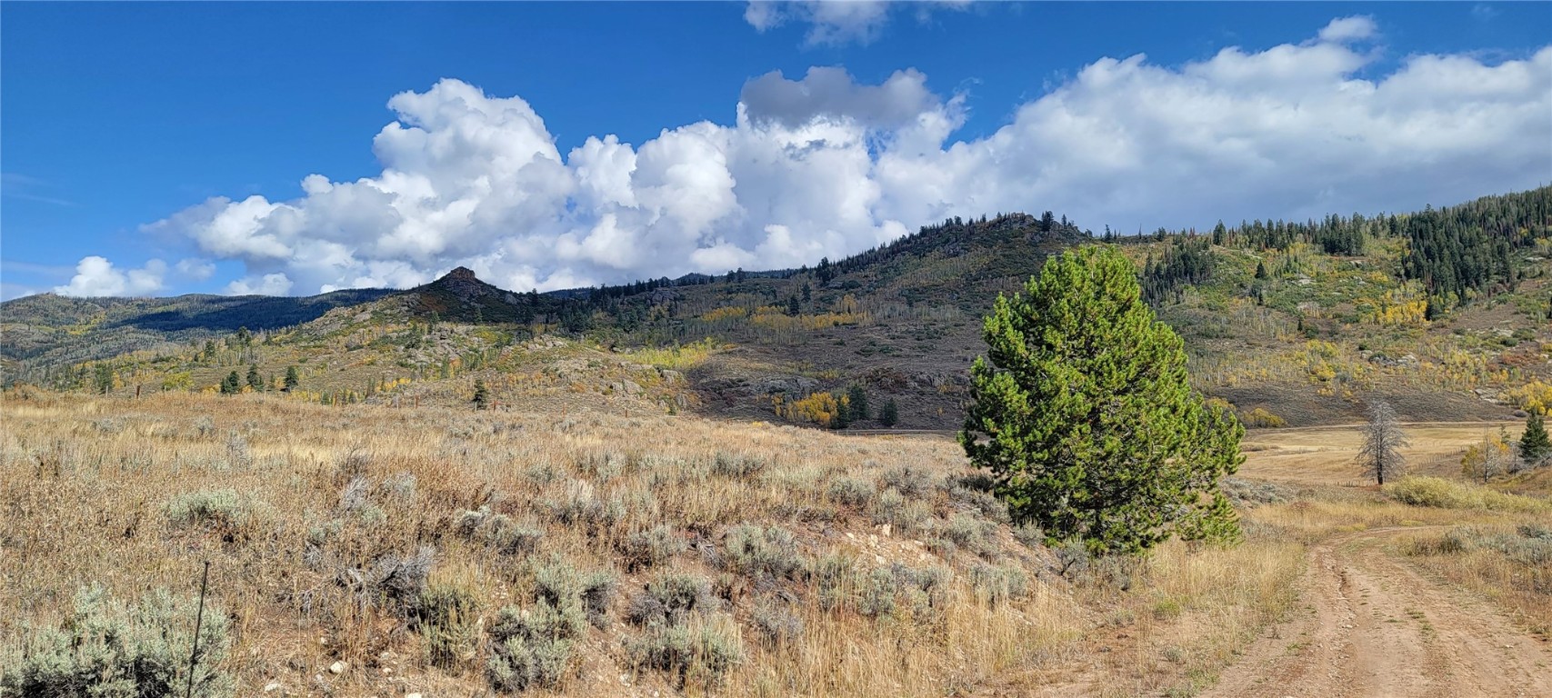 TBD Whiffle Tree Trail