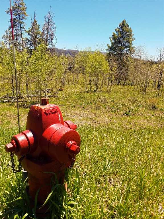 Lot 58 Black Horse II