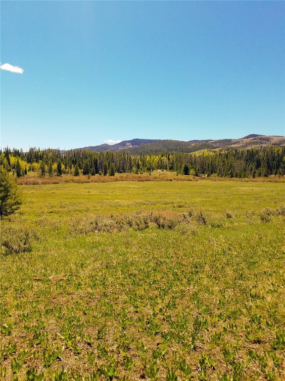 Lot 58 Black Horse II