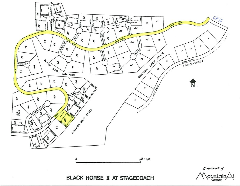 Lot 58 Black Horse II