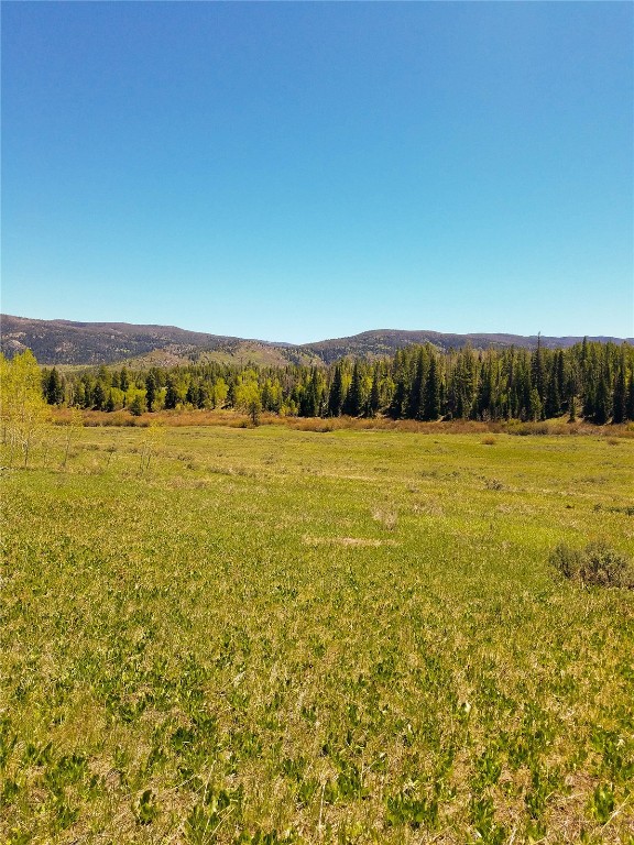 Lot 58 Black Horse II