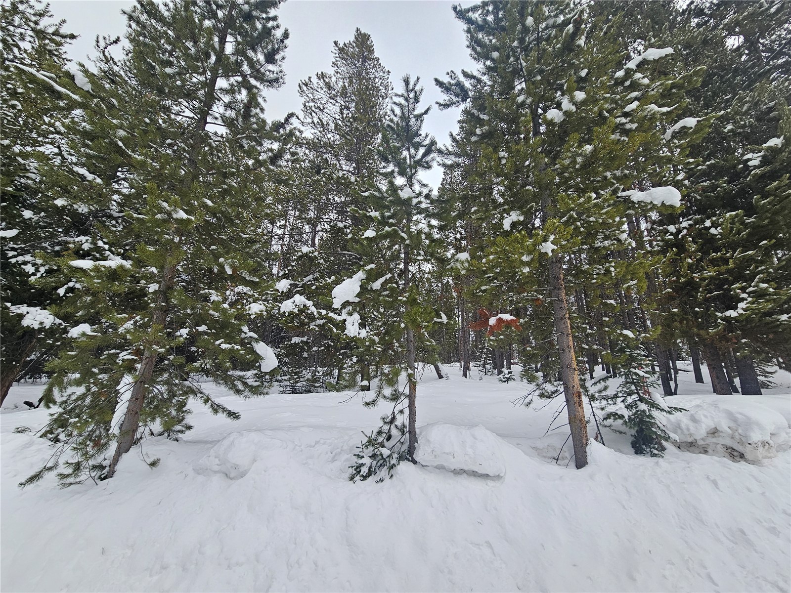 33552 Seneca TRAIL