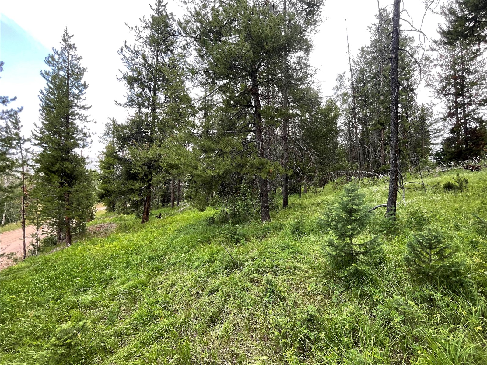 33552 Seneca TRAIL