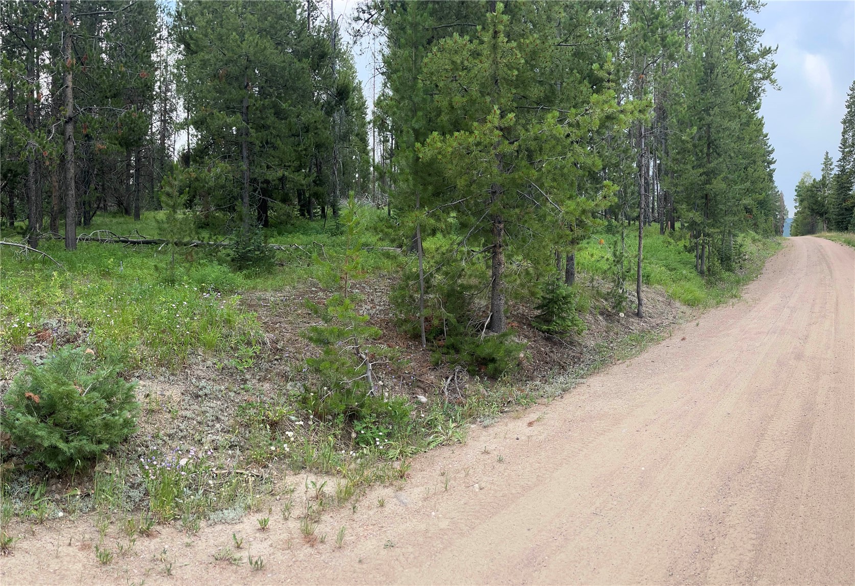 33552 Seneca TRAIL