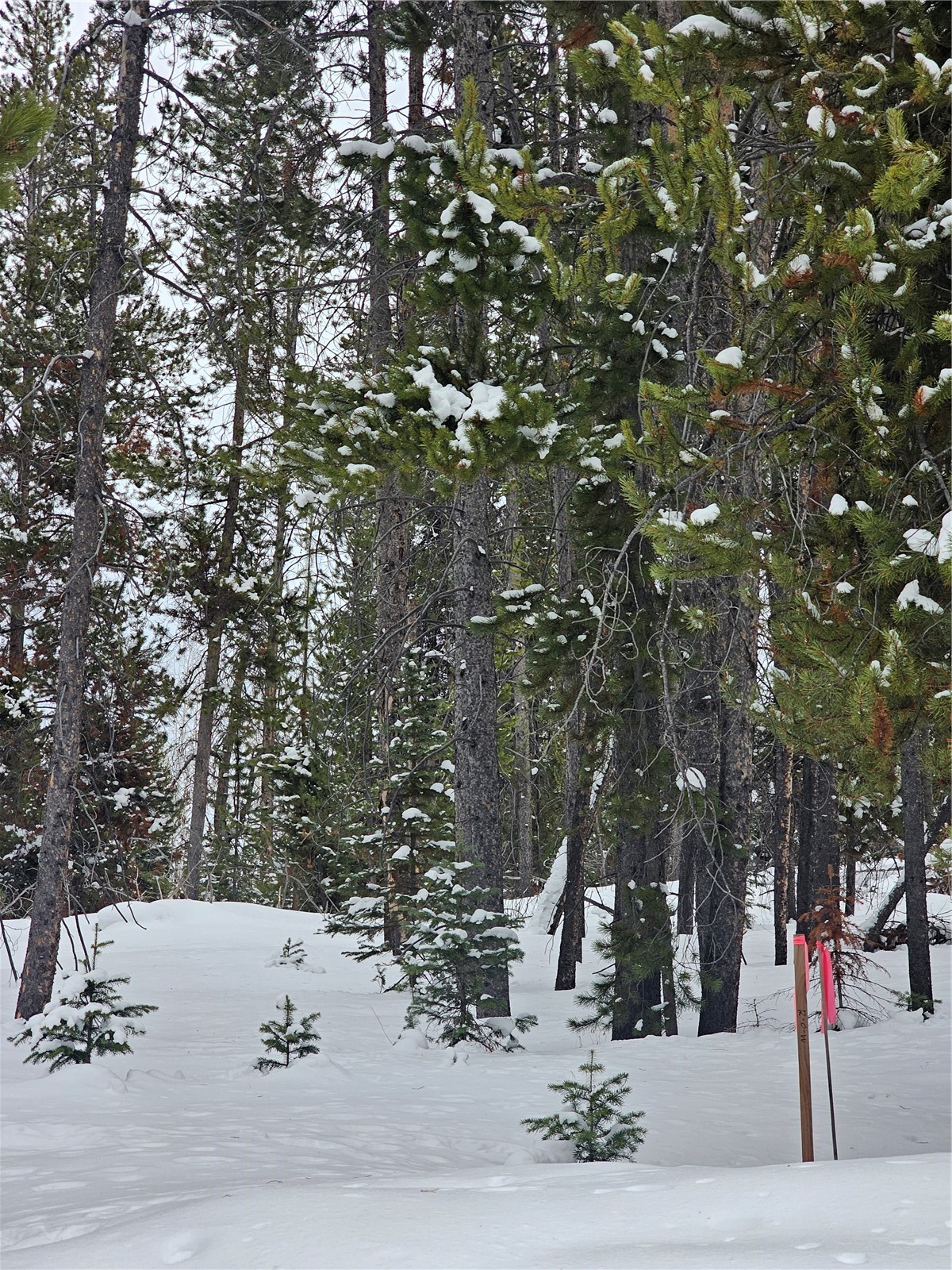 33552 Seneca TRAIL
