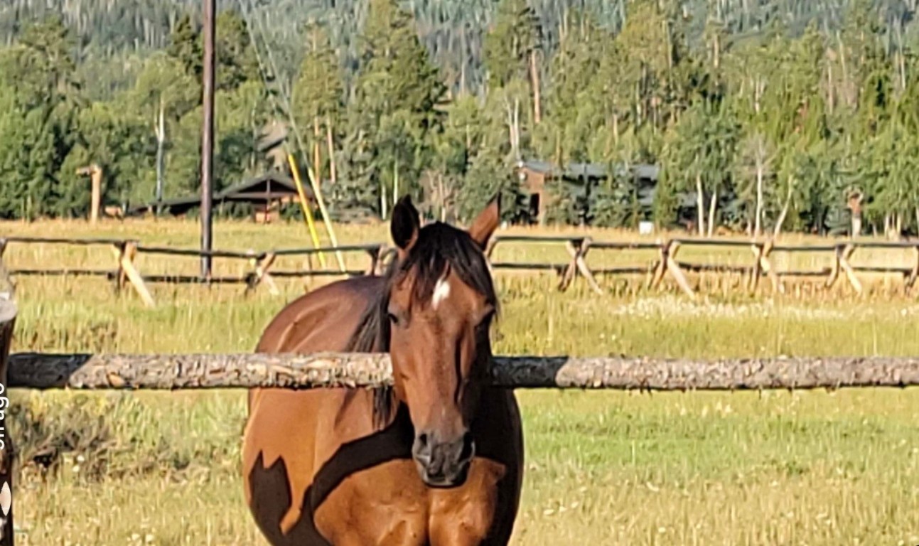 21185 County Road 16