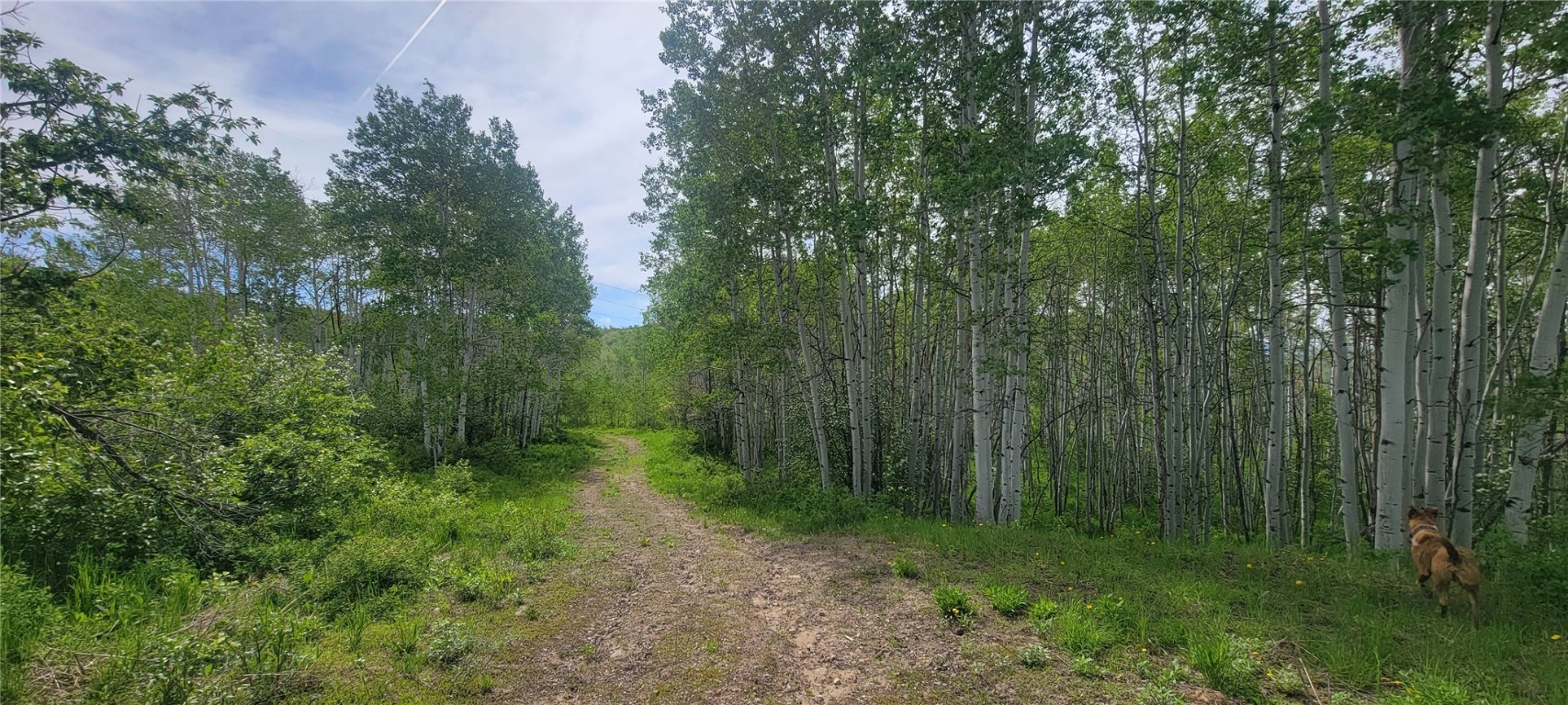 24425 Lone Tooth TRAIL