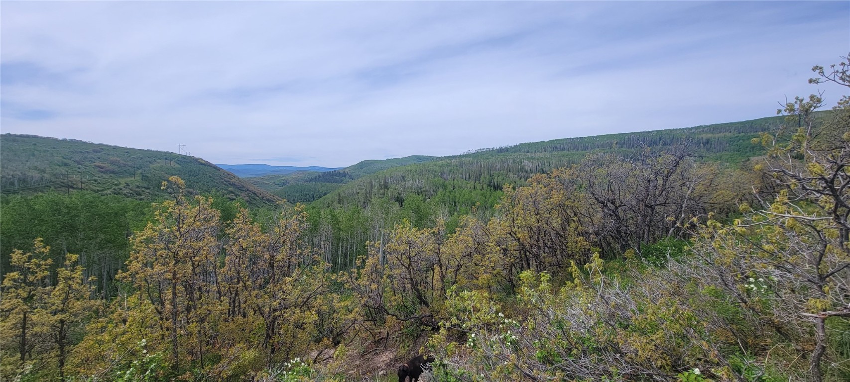 24425 Lone Tooth TRAIL