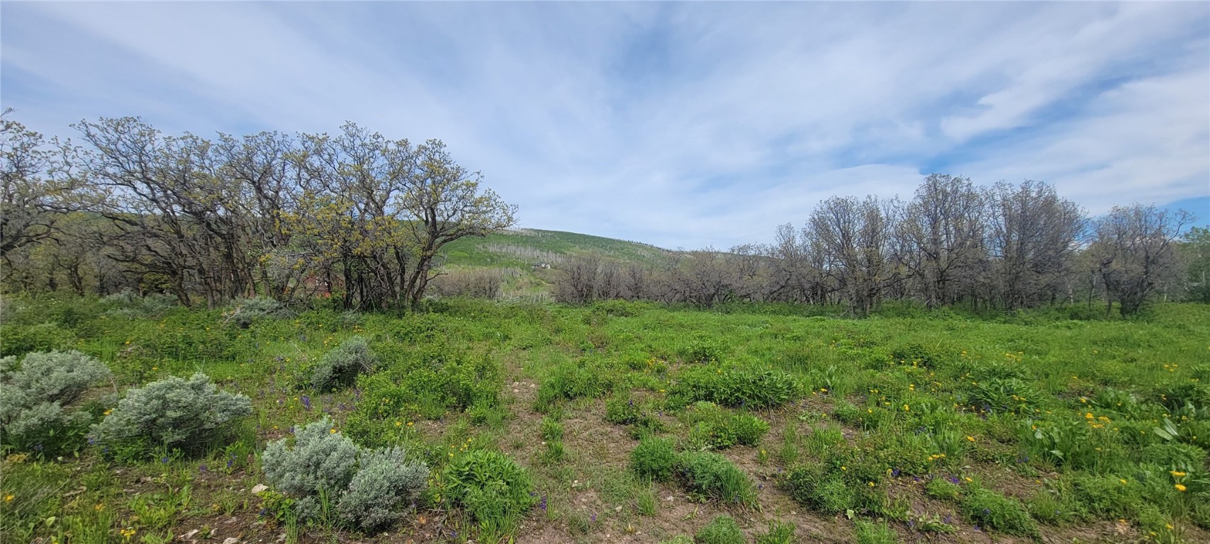 24425 Lone Tooth TRAIL