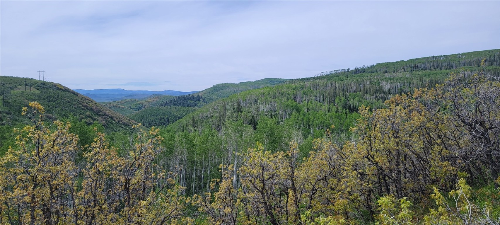 24425 Lone Tooth TRAIL