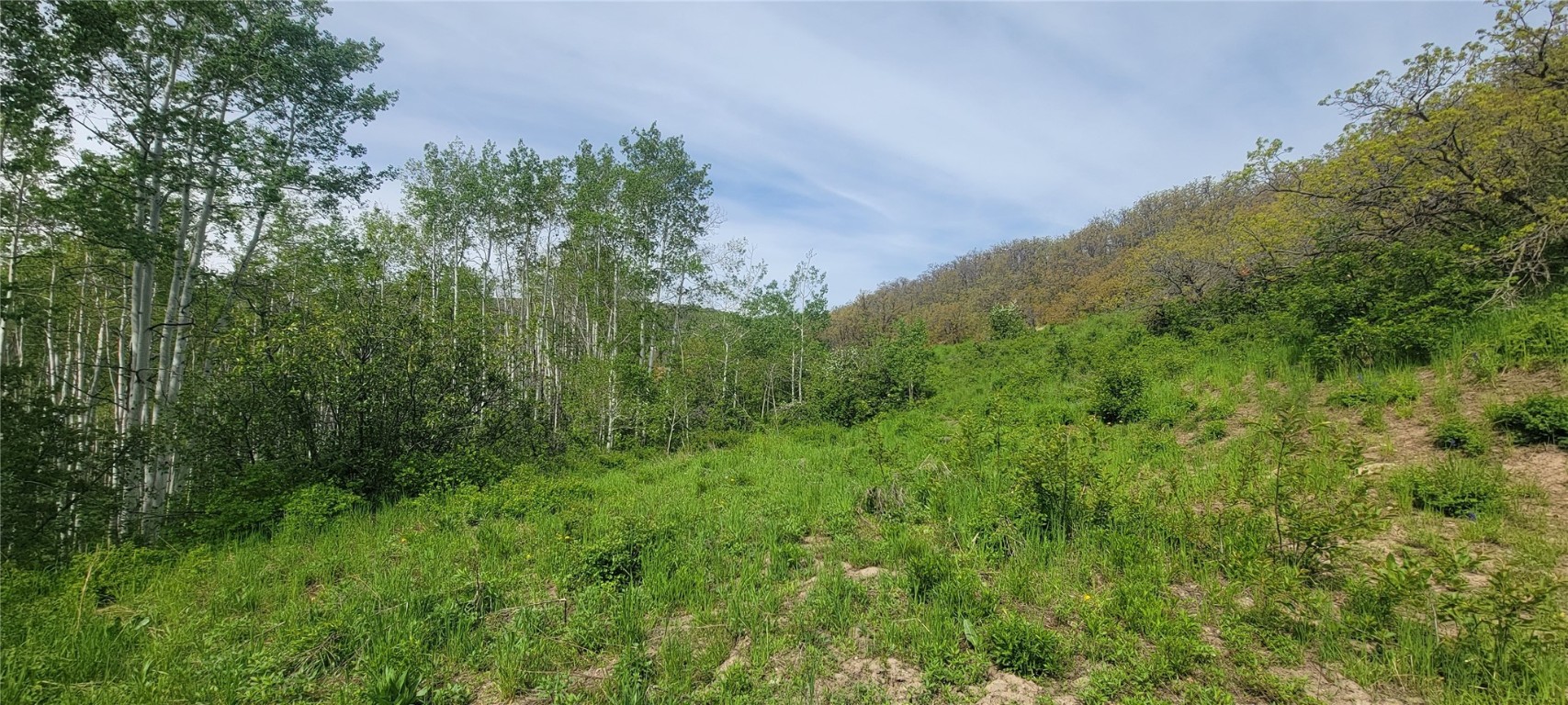 24425 Lone Tooth TRAIL