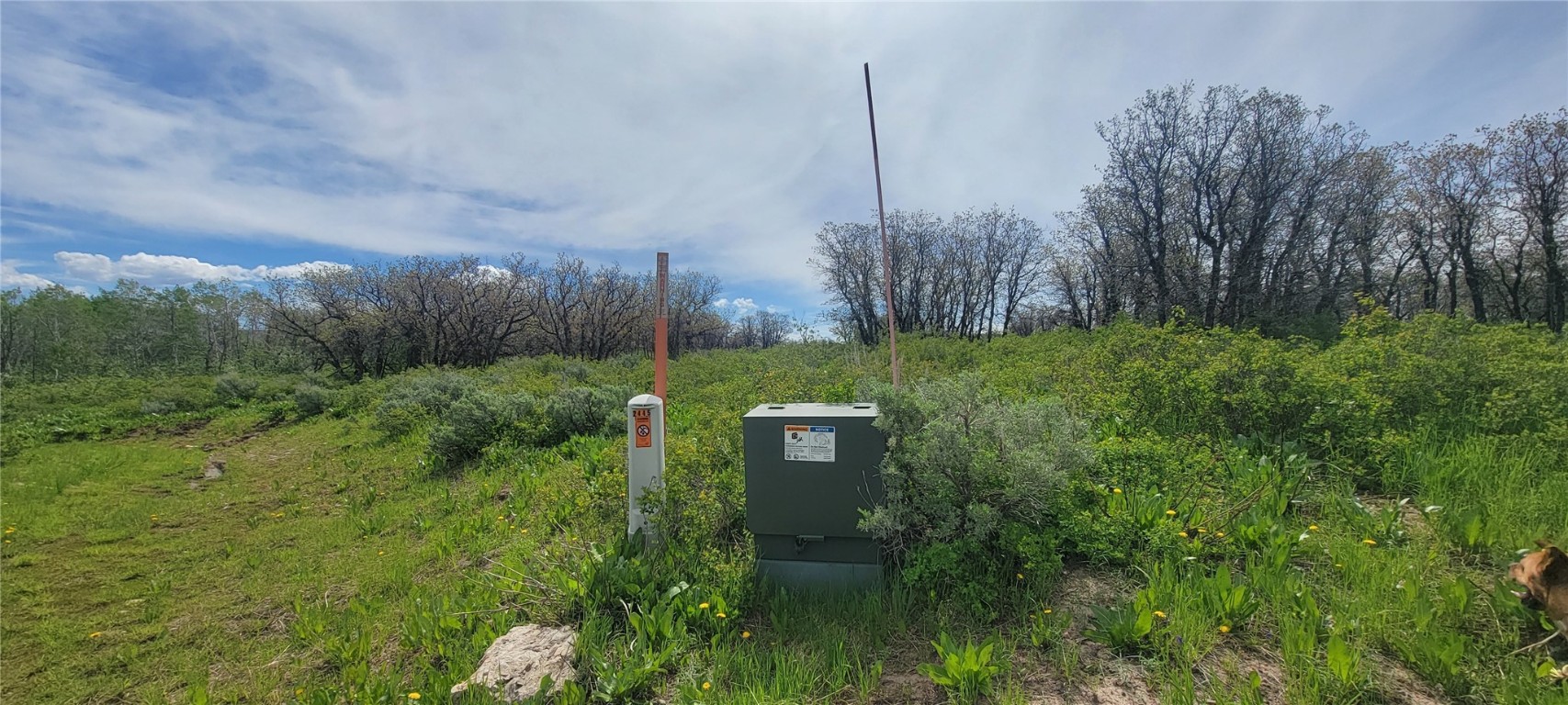 24425 Lone Tooth TRAIL