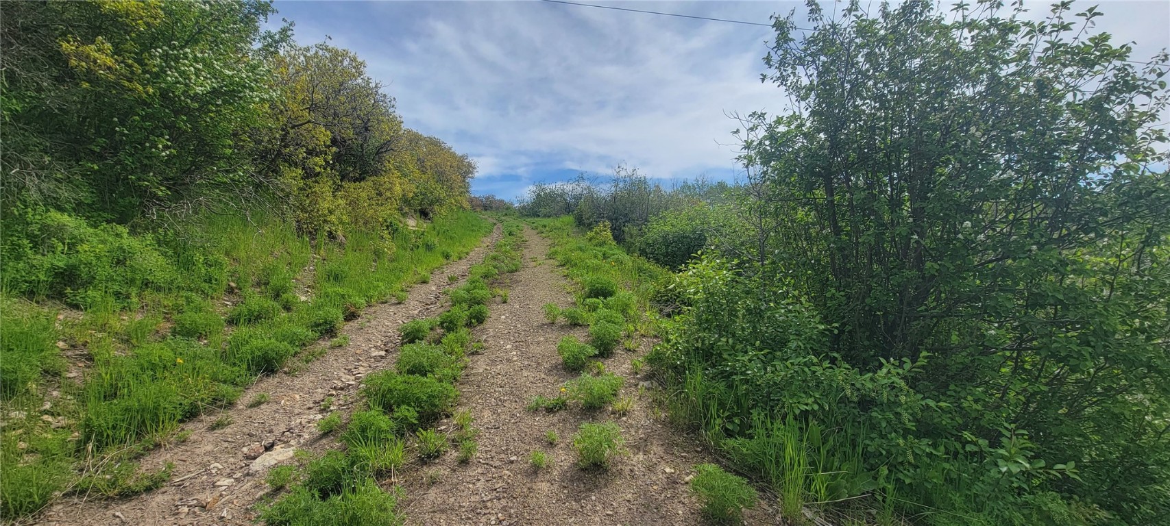 24425 Lone Tooth TRAIL