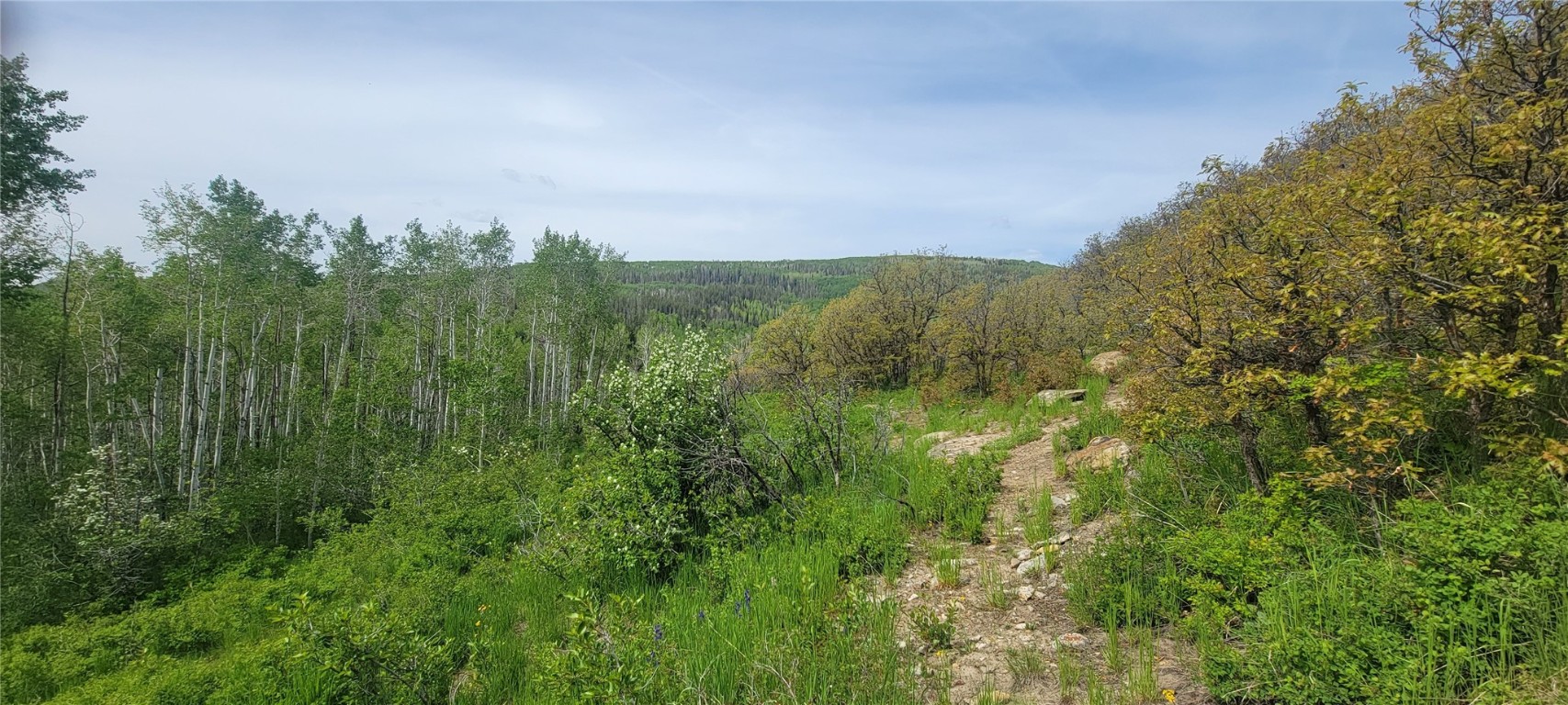 24425 Lone Tooth TRAIL