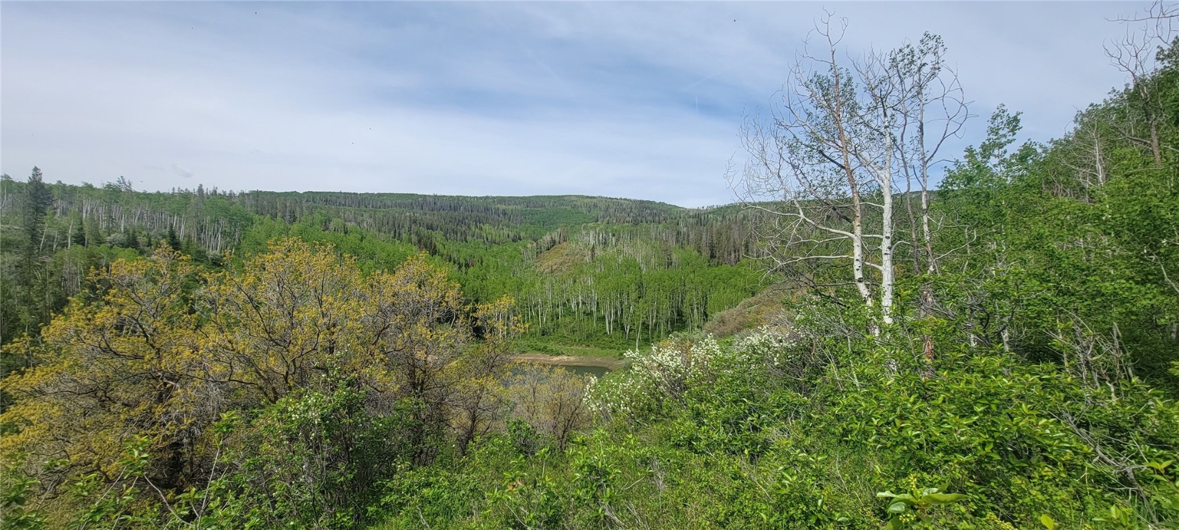 24425 Lone Tooth TRAIL