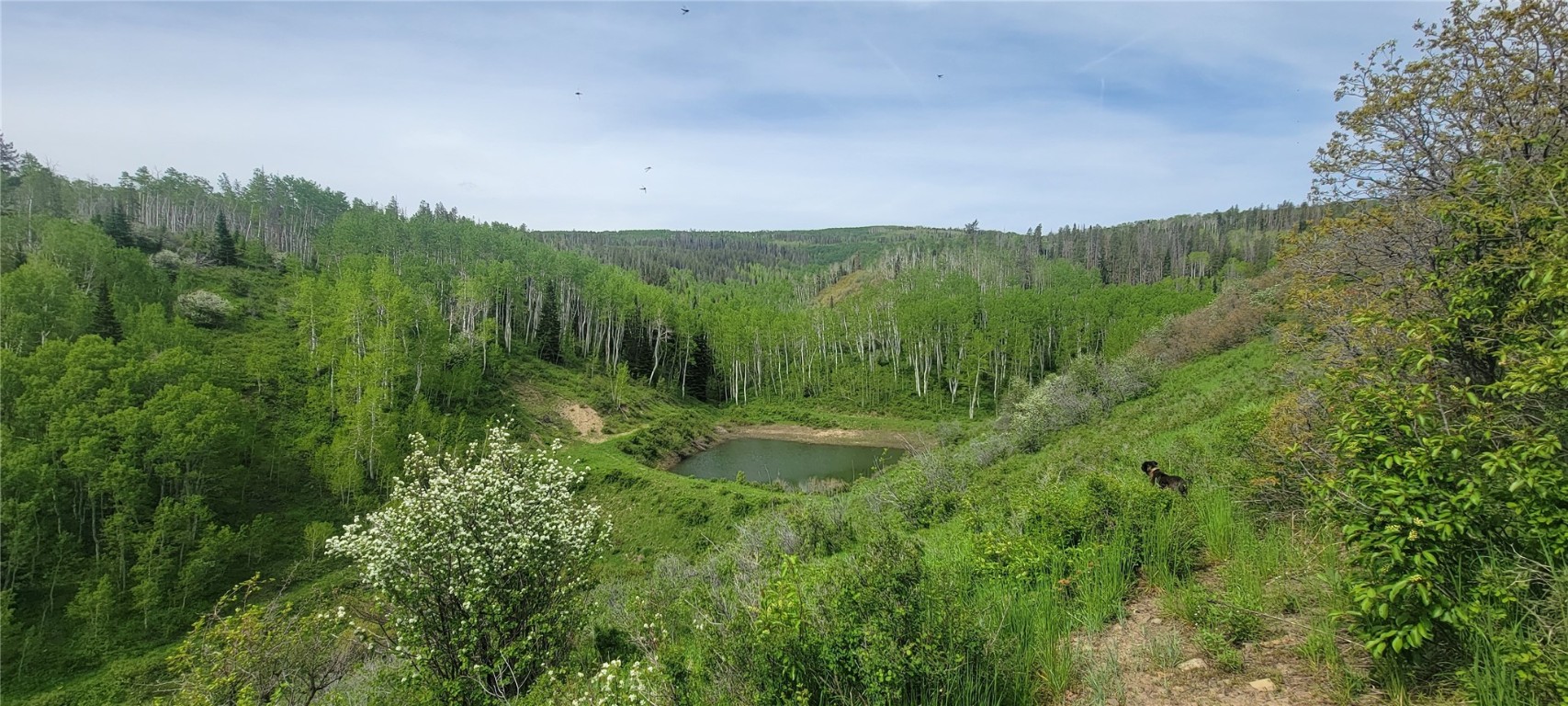 24425 Lone Tooth TRAIL