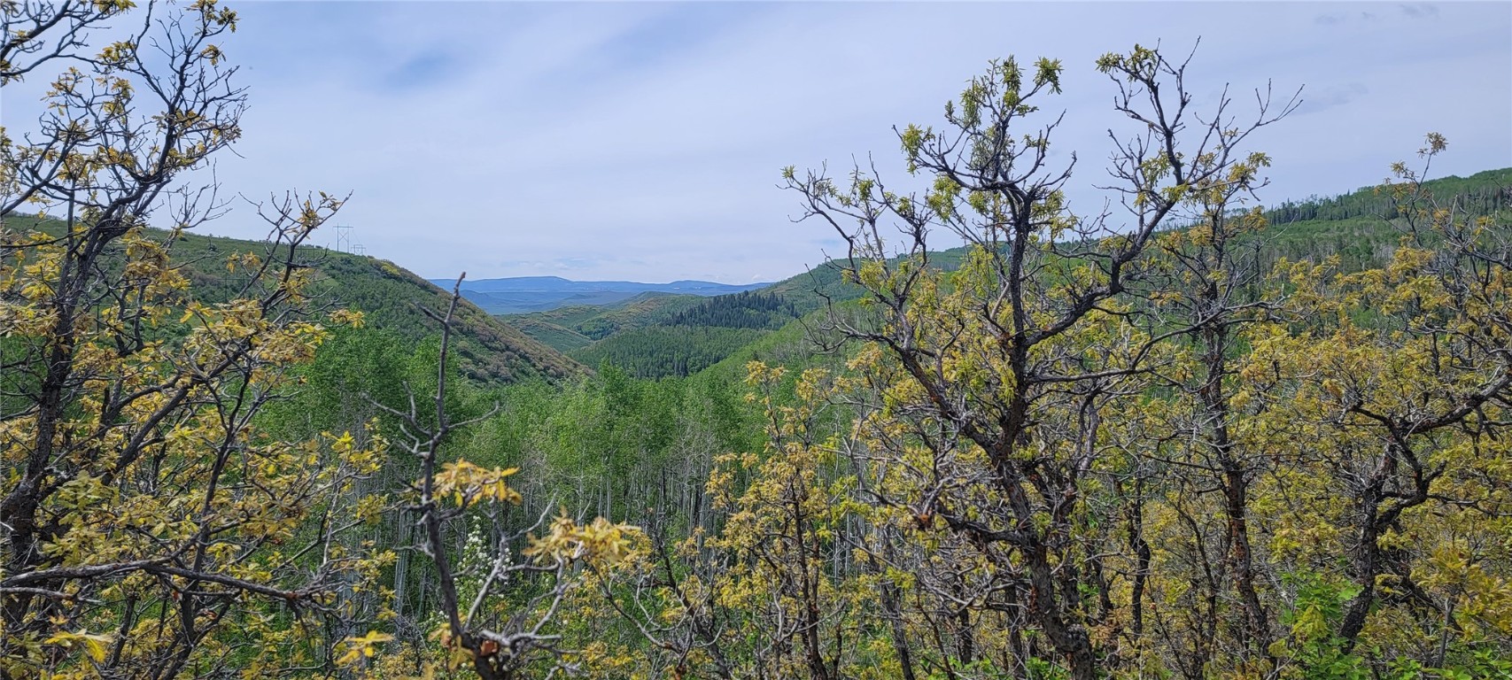 24425 Lone Tooth TRAIL