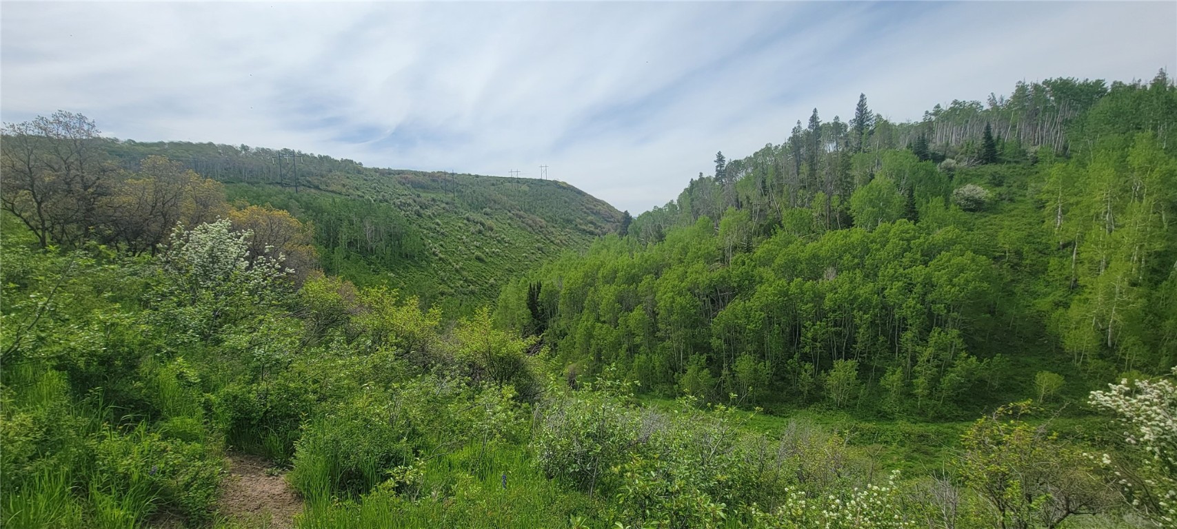 24425 Lone Tooth TRAIL